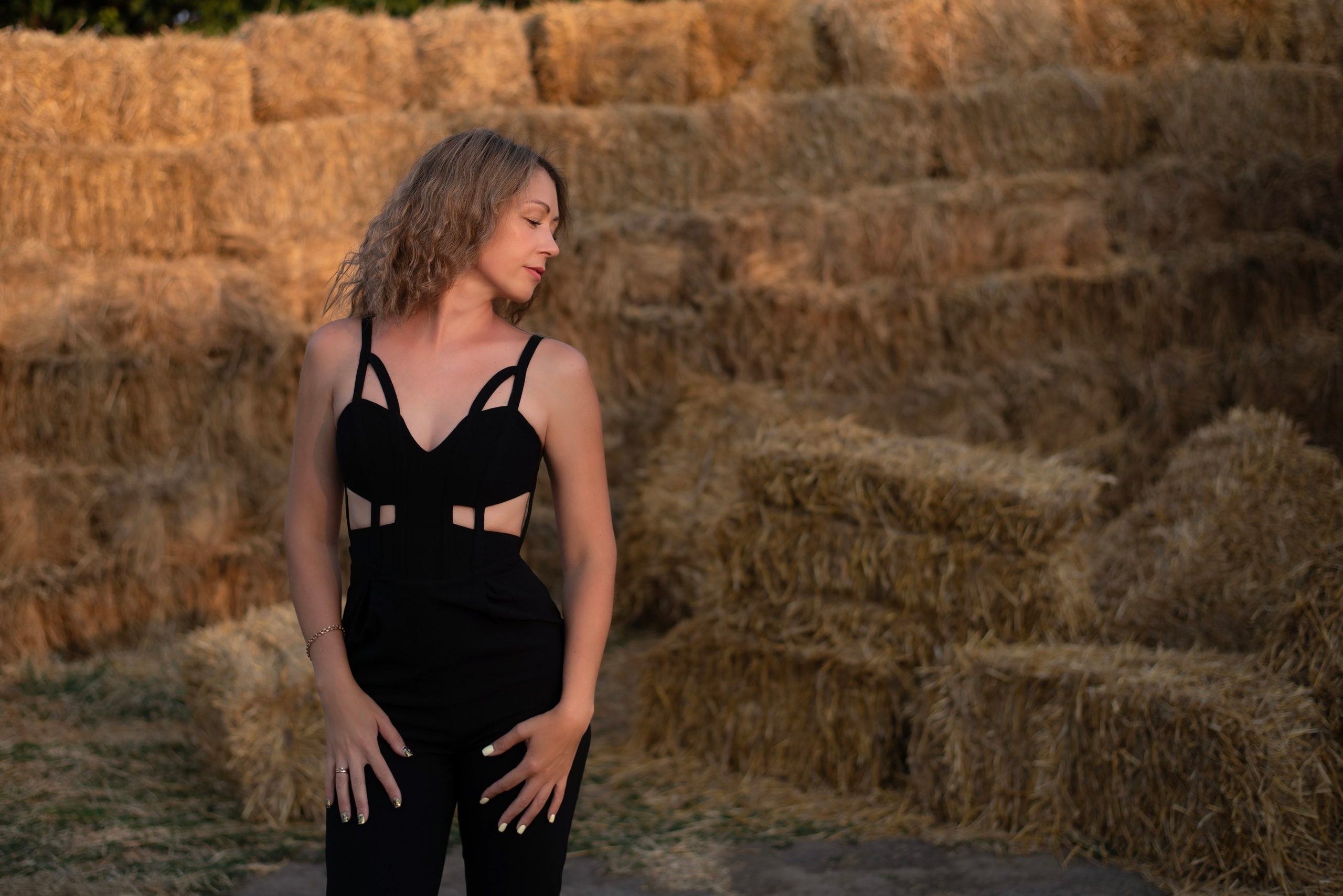 Леди и лошадь. Главная