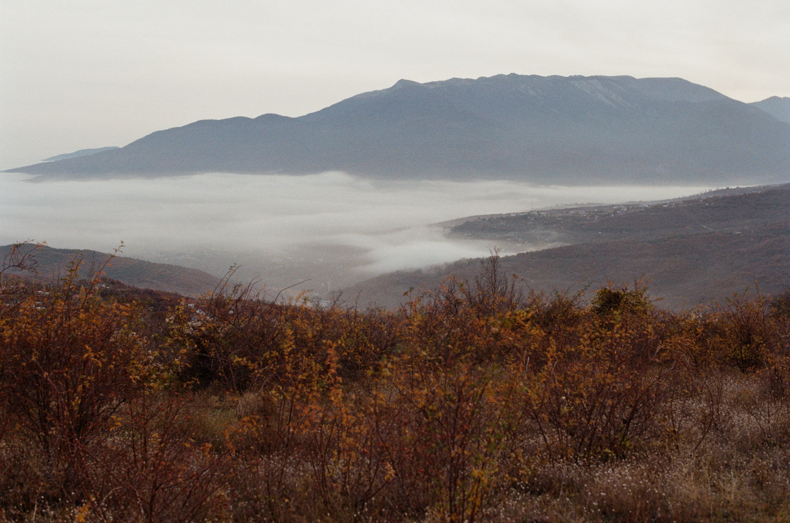 Wherever you will go // ukraine, crimea VI. EVER EXPOSED