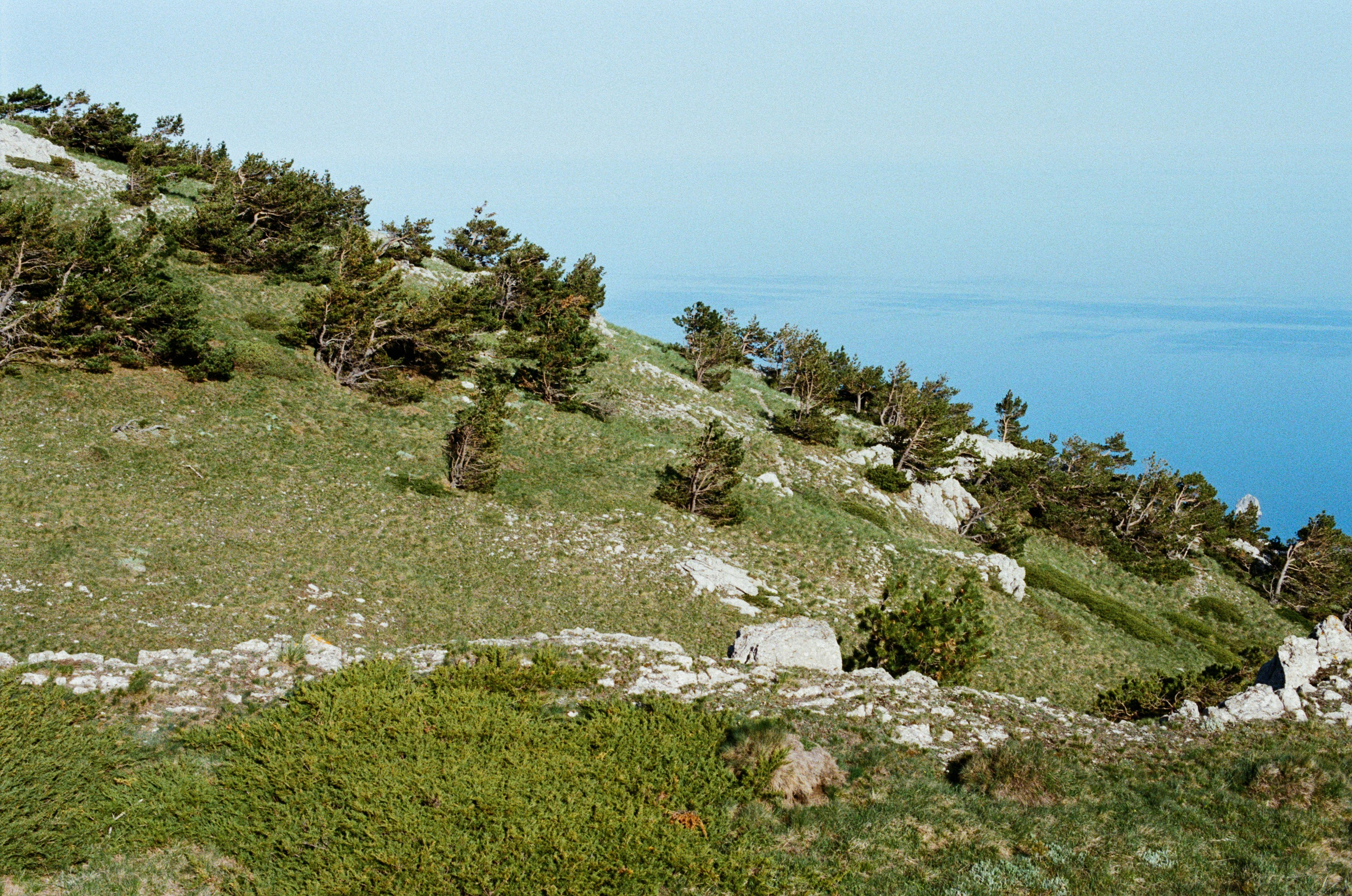 Point of no reply // ukraine, crimea III. EVER EXPOSED
