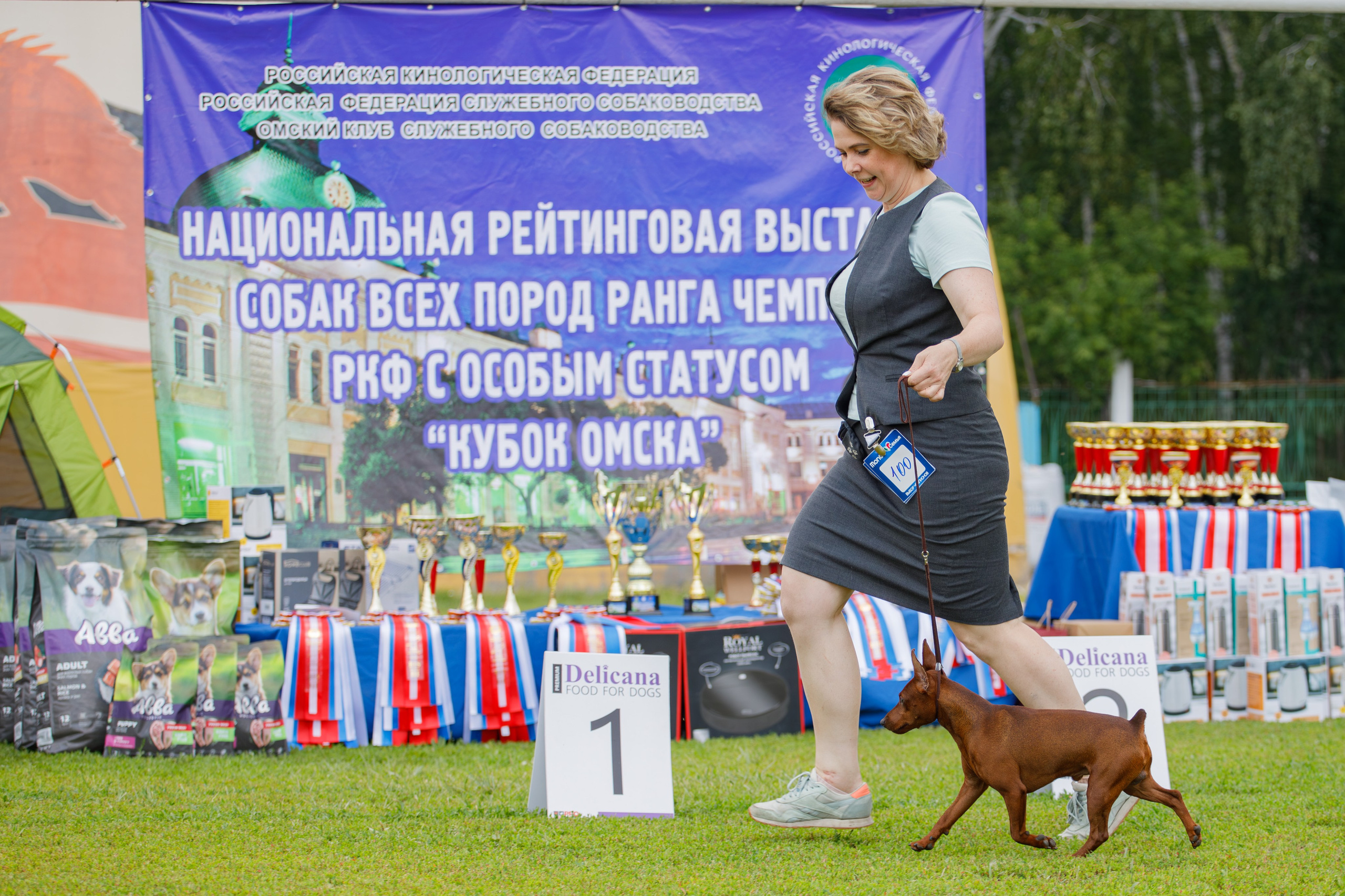 Выставка собак РКФ. Фотограф Екатерина Козловская