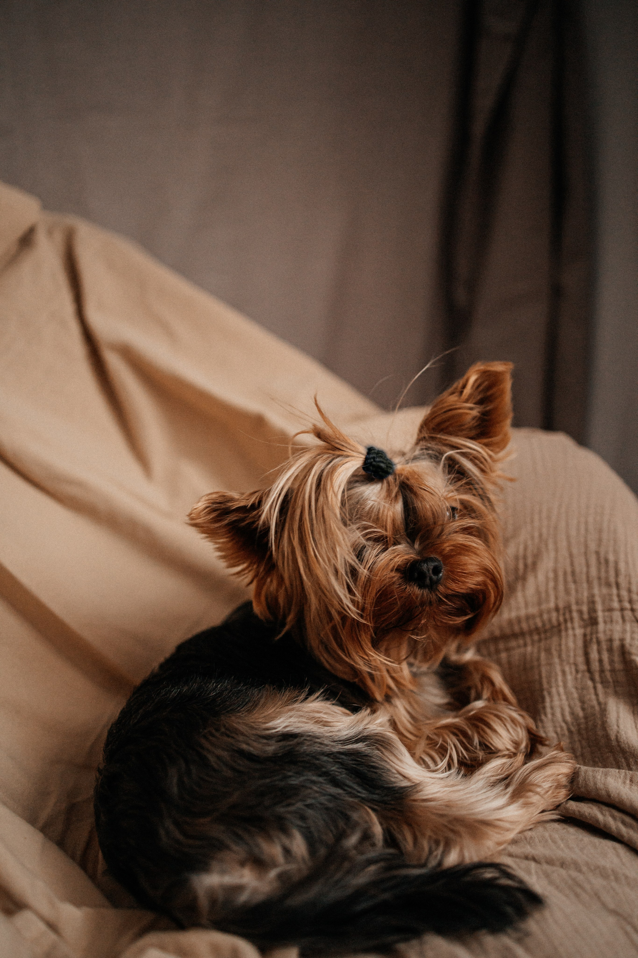 Юлия, Лиля и малышка Яся. Фотограф Алия Танцыкужина