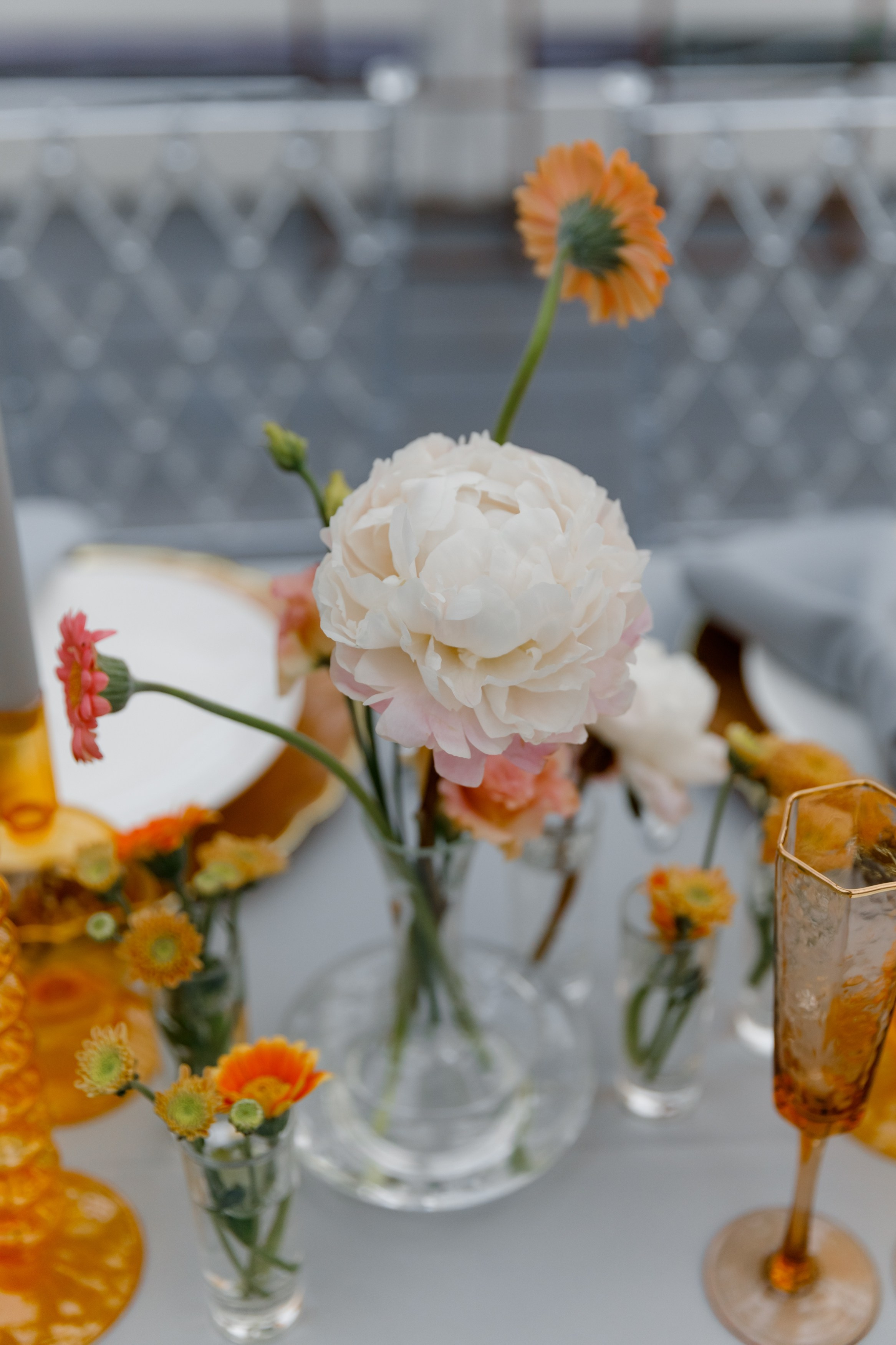 День Рождения Юли. Свадебный фотограф Москва Европа Мария Коренчук