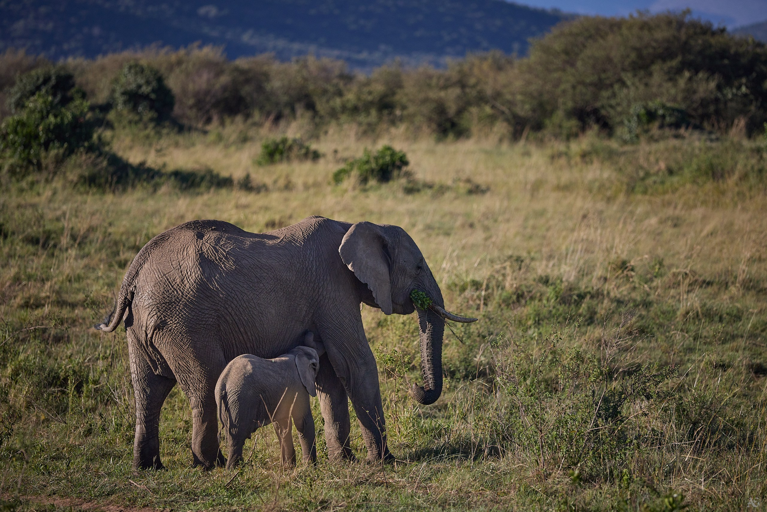 Дети - цветы жизни