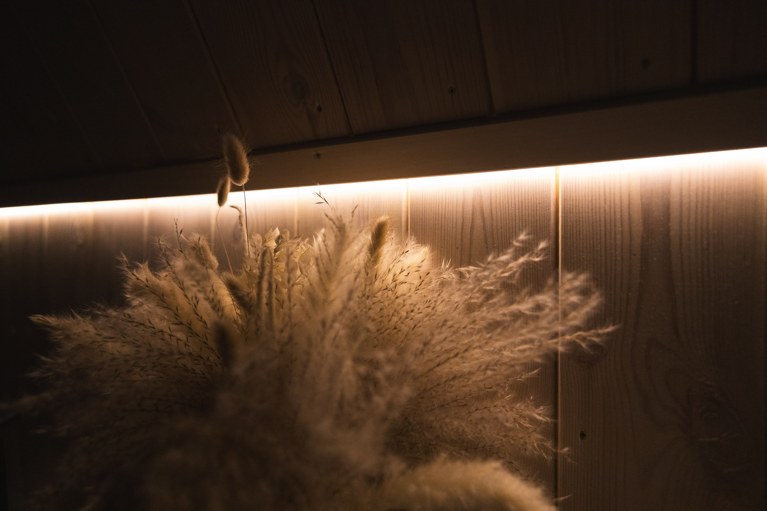 Глэмпинг SARAYWOOD