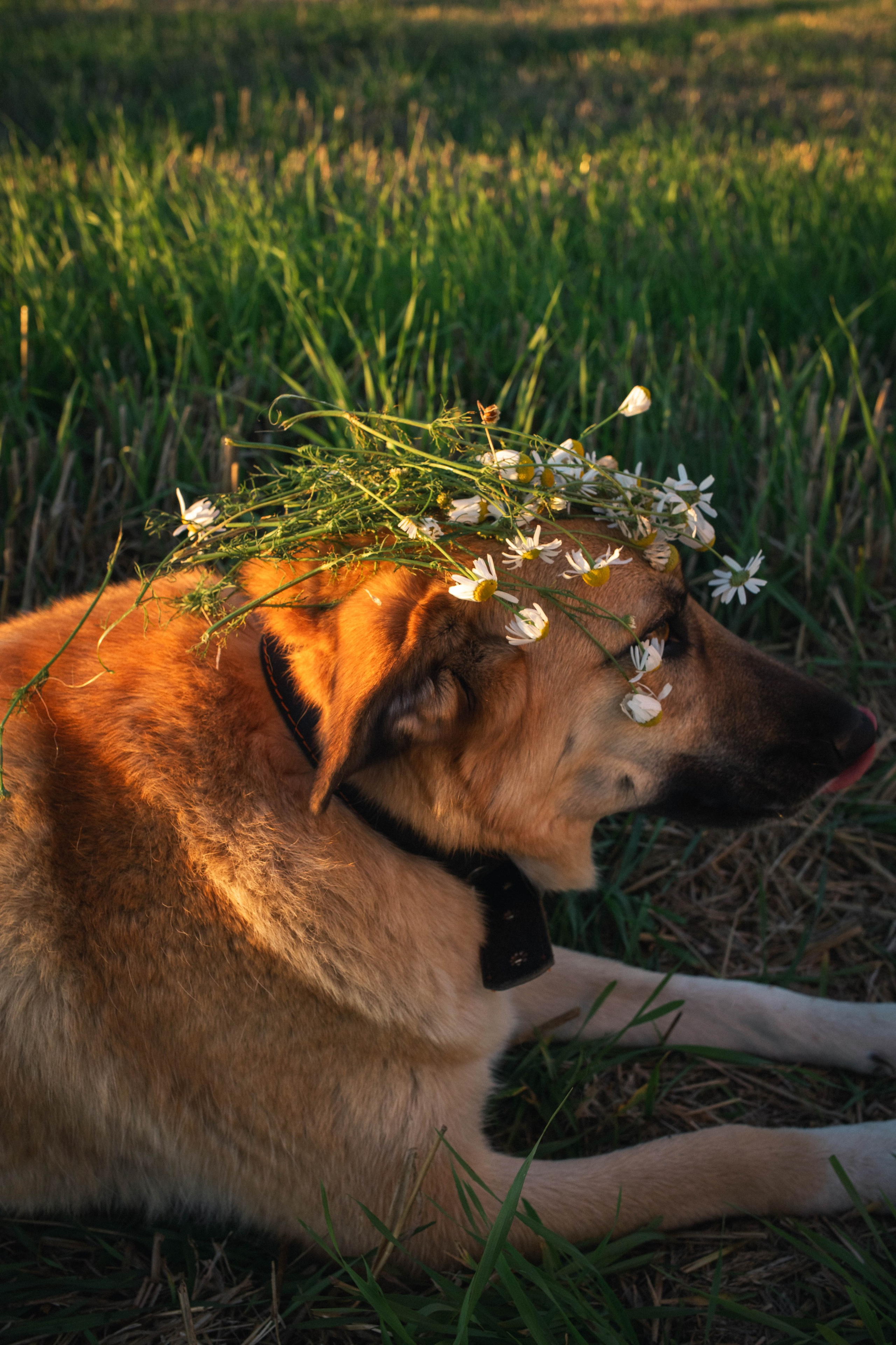 Альбом2. Фотограф Мария Сургаева | Профессиональная фотосъемка в Москве