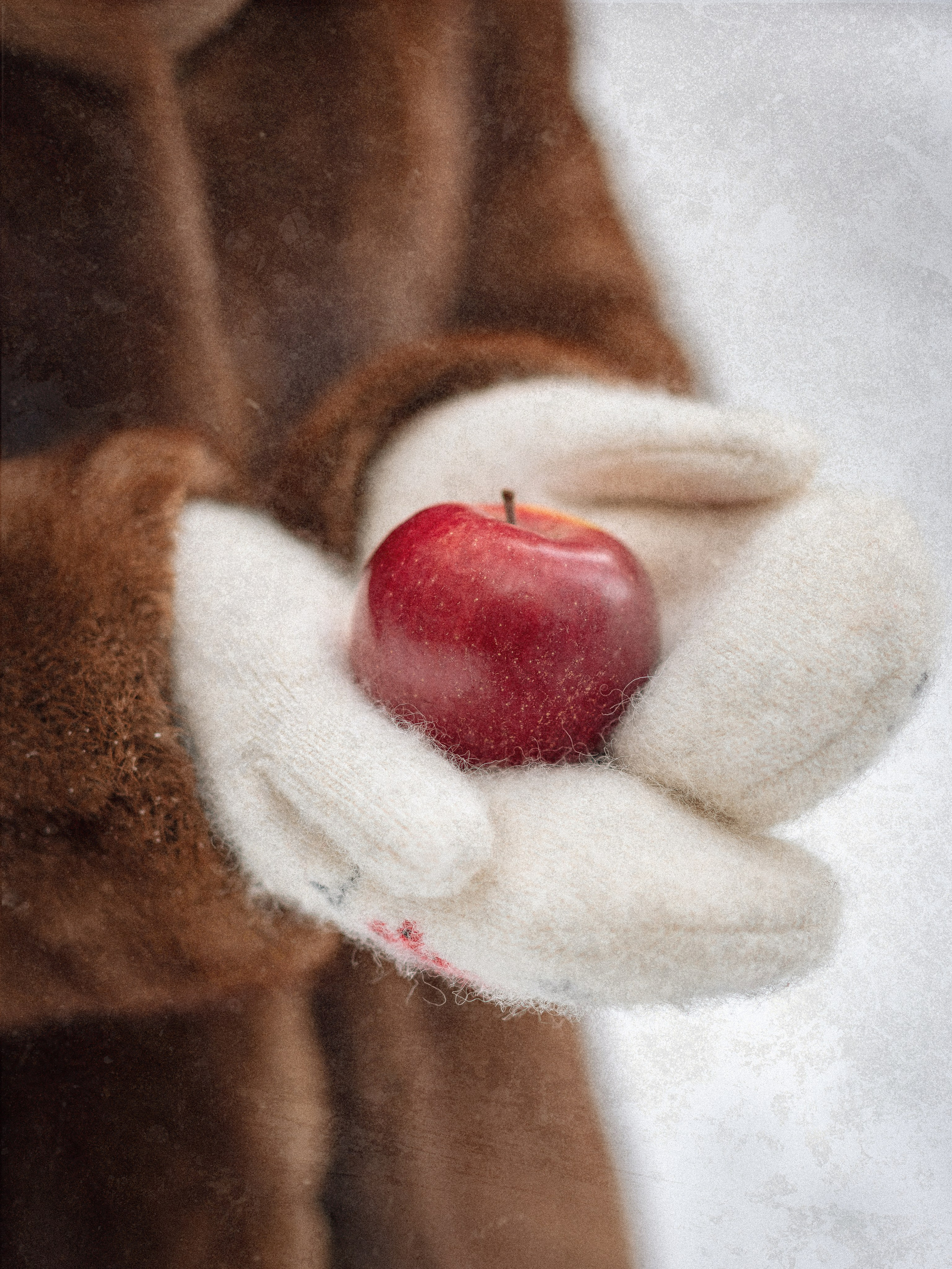 Ольга — фотосессия в зимнем стиле. Фотограф Москва