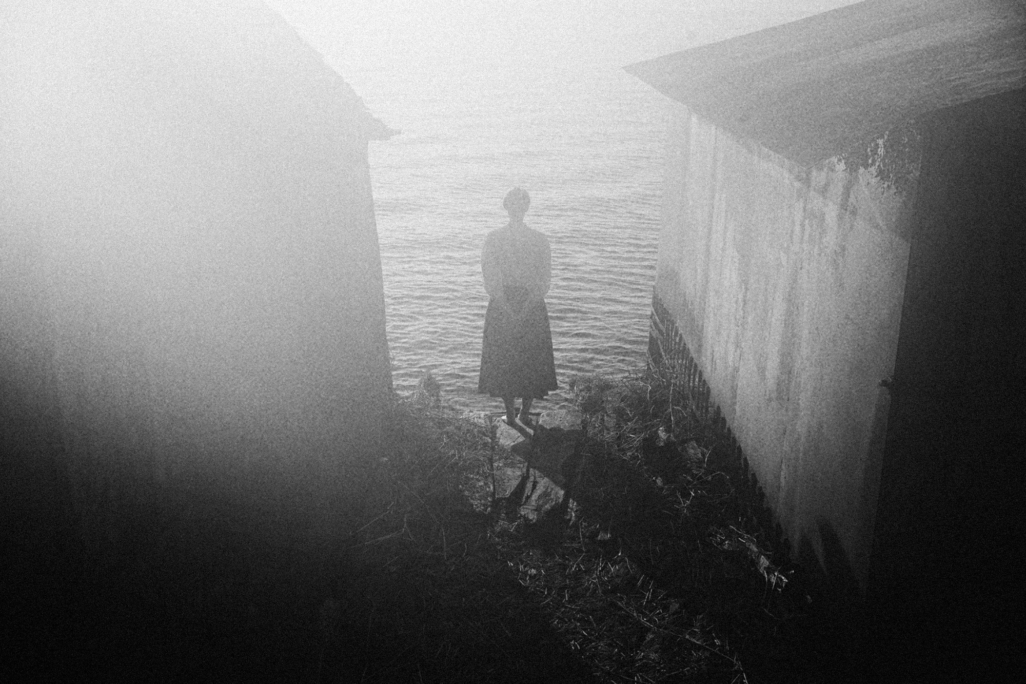 Sea, kind of. Daria Kryl