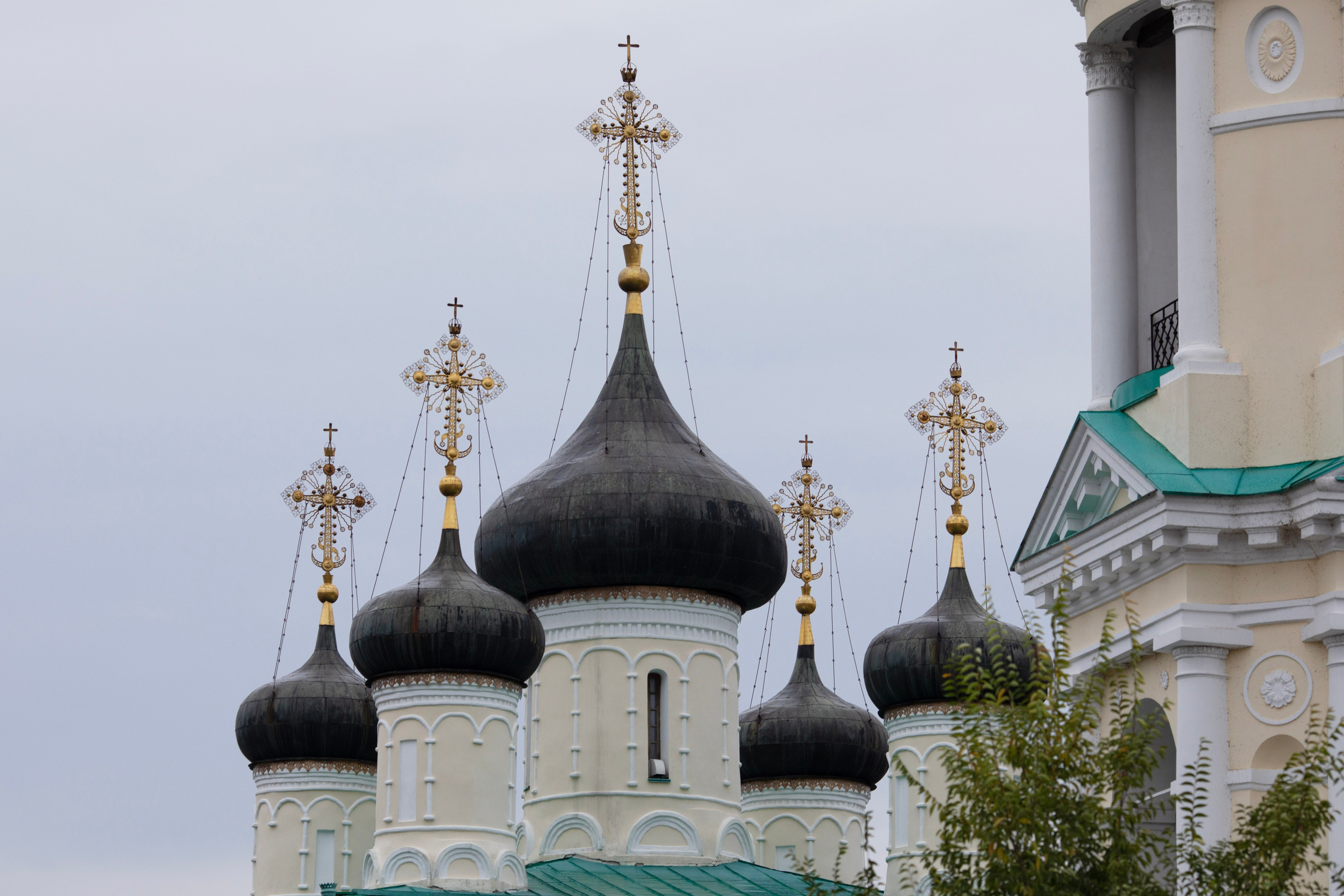 Воронеж сентябрь'26. Фотограф-портретист в Москве