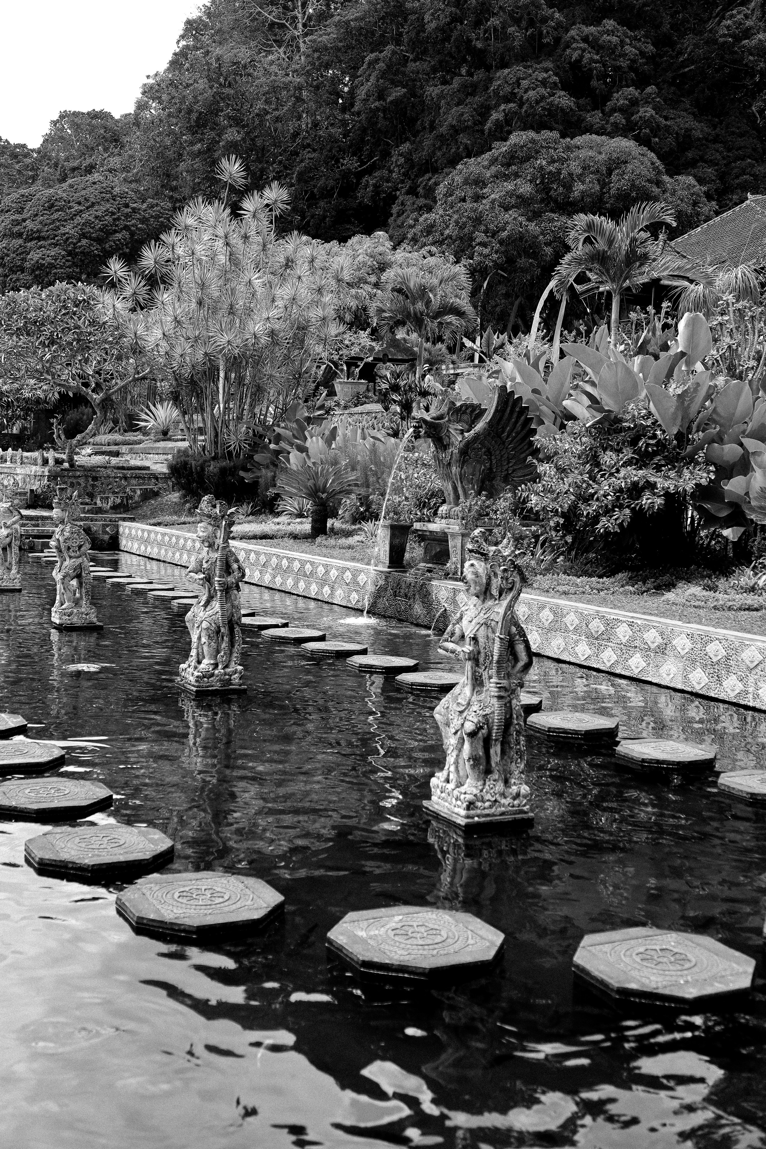 Портретный, семейный фотограф в Париже