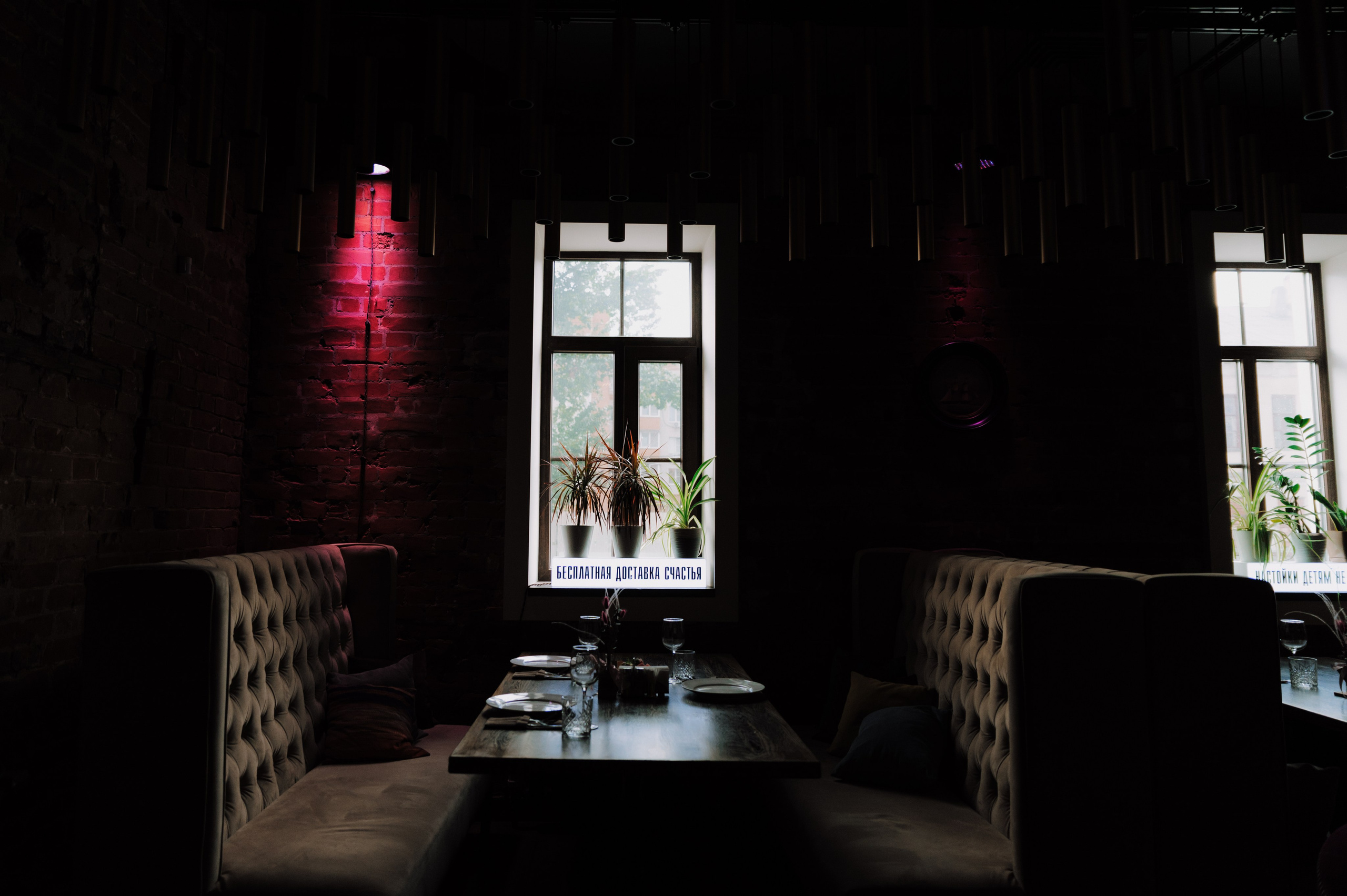 Beerlogovo birthday party 2024. Свадебный фотограф в Тамбове Валерий Тихов