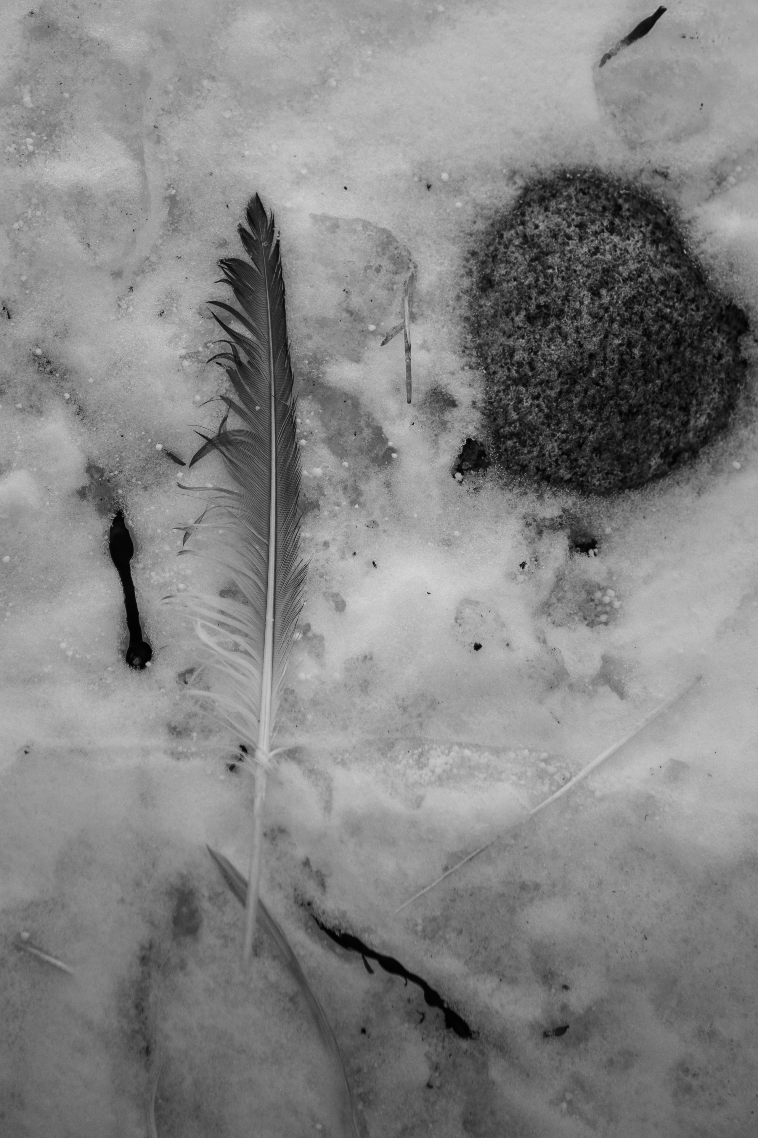 Териберка — репортаж тура Ковчег 51. Видеограф в Санкт-Петербурге Анастасия Коок