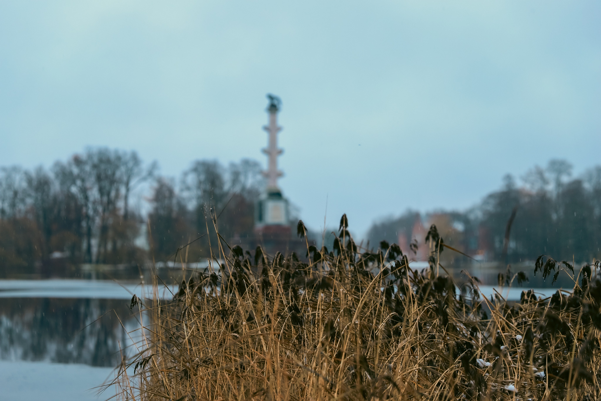 Фото с прогулок и с поездок на Кольский полуостров