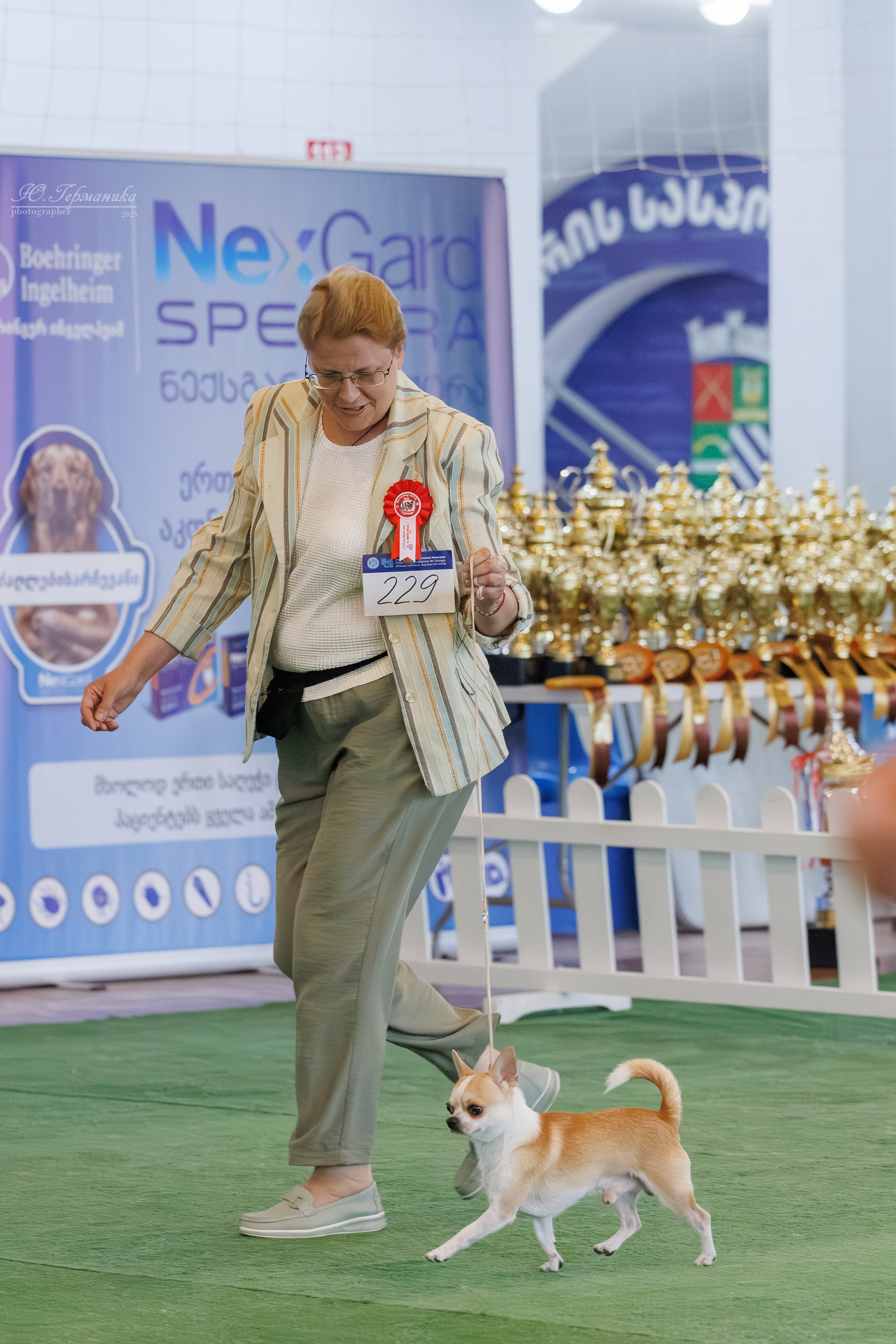 Батуми 3хCACIB 27-29.06.2025. Фотограф-анималист Юлия Германика