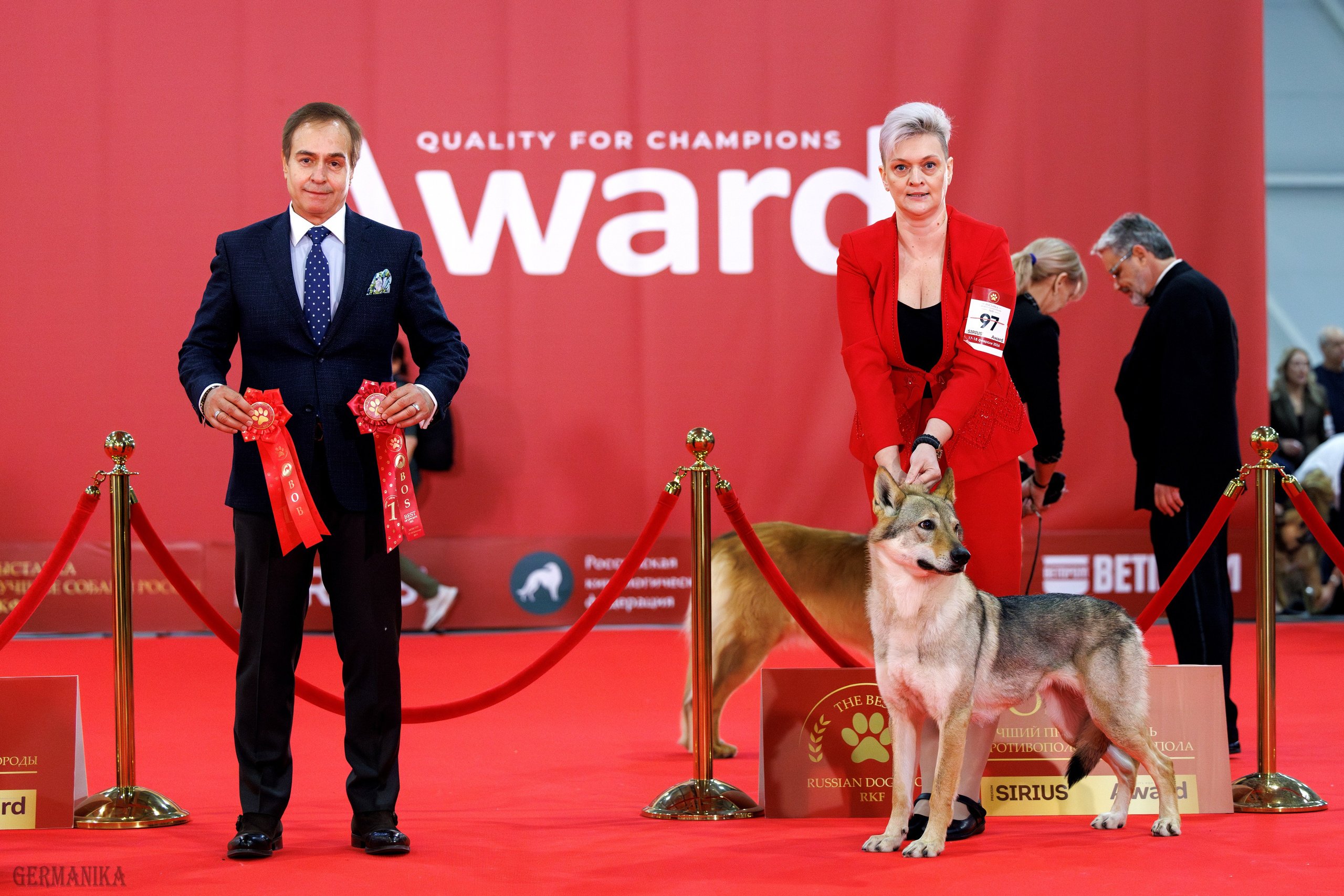 Лучшие Собаки России 17-18.02.2024. Фотограф-анималист Юлия Германика
