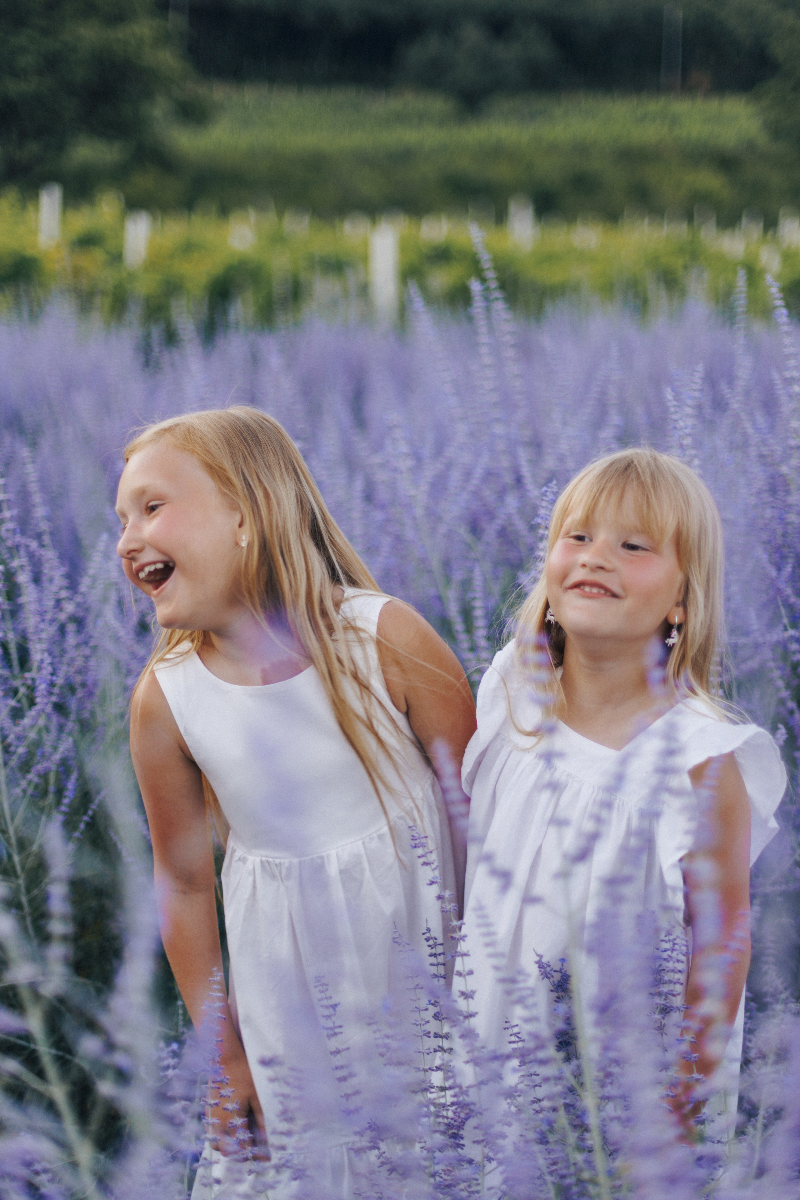 Maison Des Plantes. Фотограф на Юге России