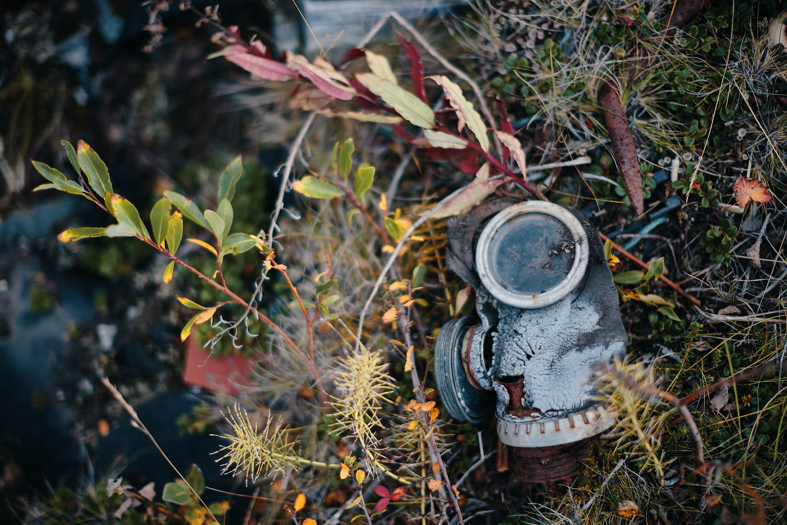 Рыбачий 2023. Место силы. Фотограф Валерий Сабрам