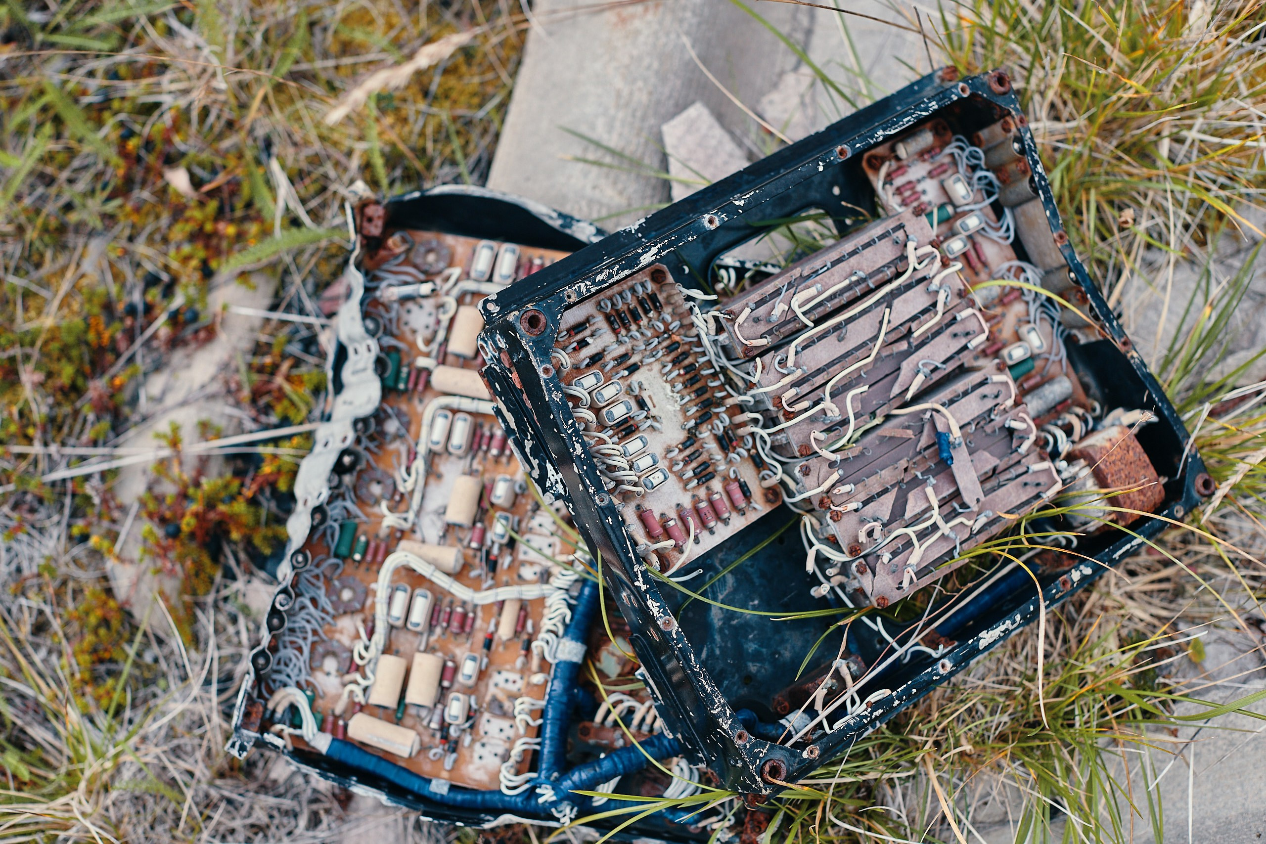 Рыбачий 2023. Место силы. Фотограф Валерий Сабрам