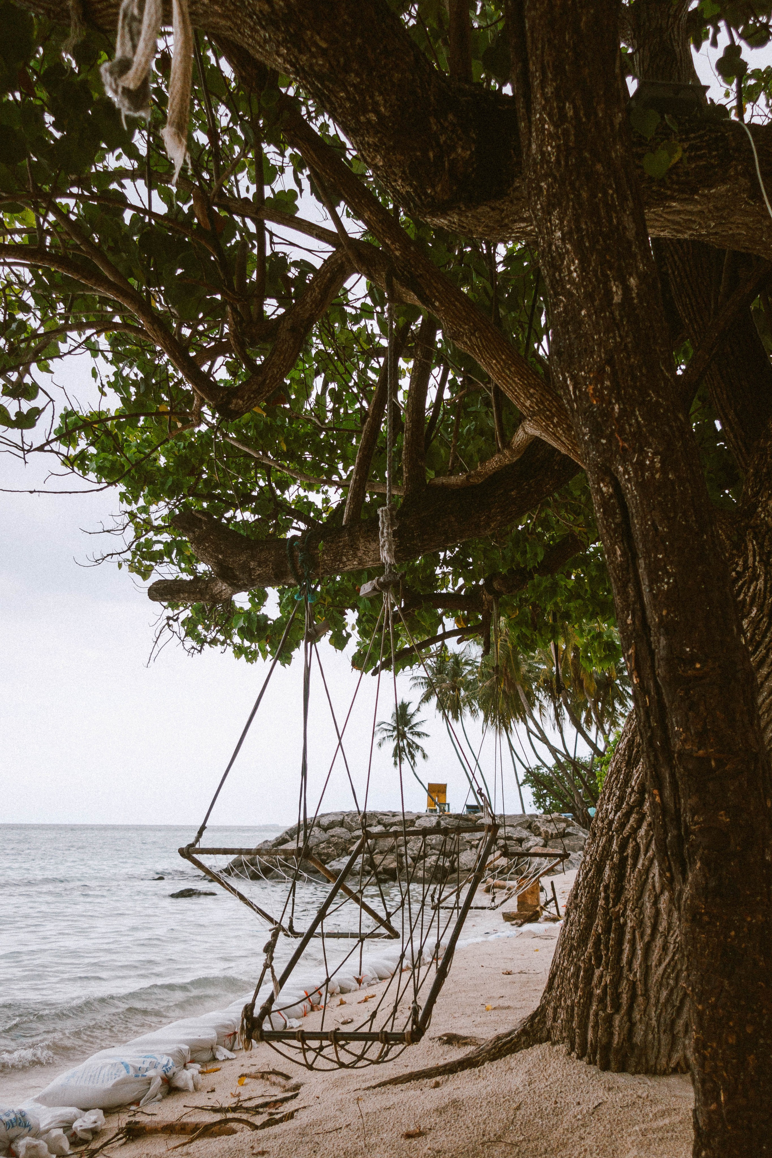 О.Тулусду. Мальдивы. Фотограф Светлана Голицына