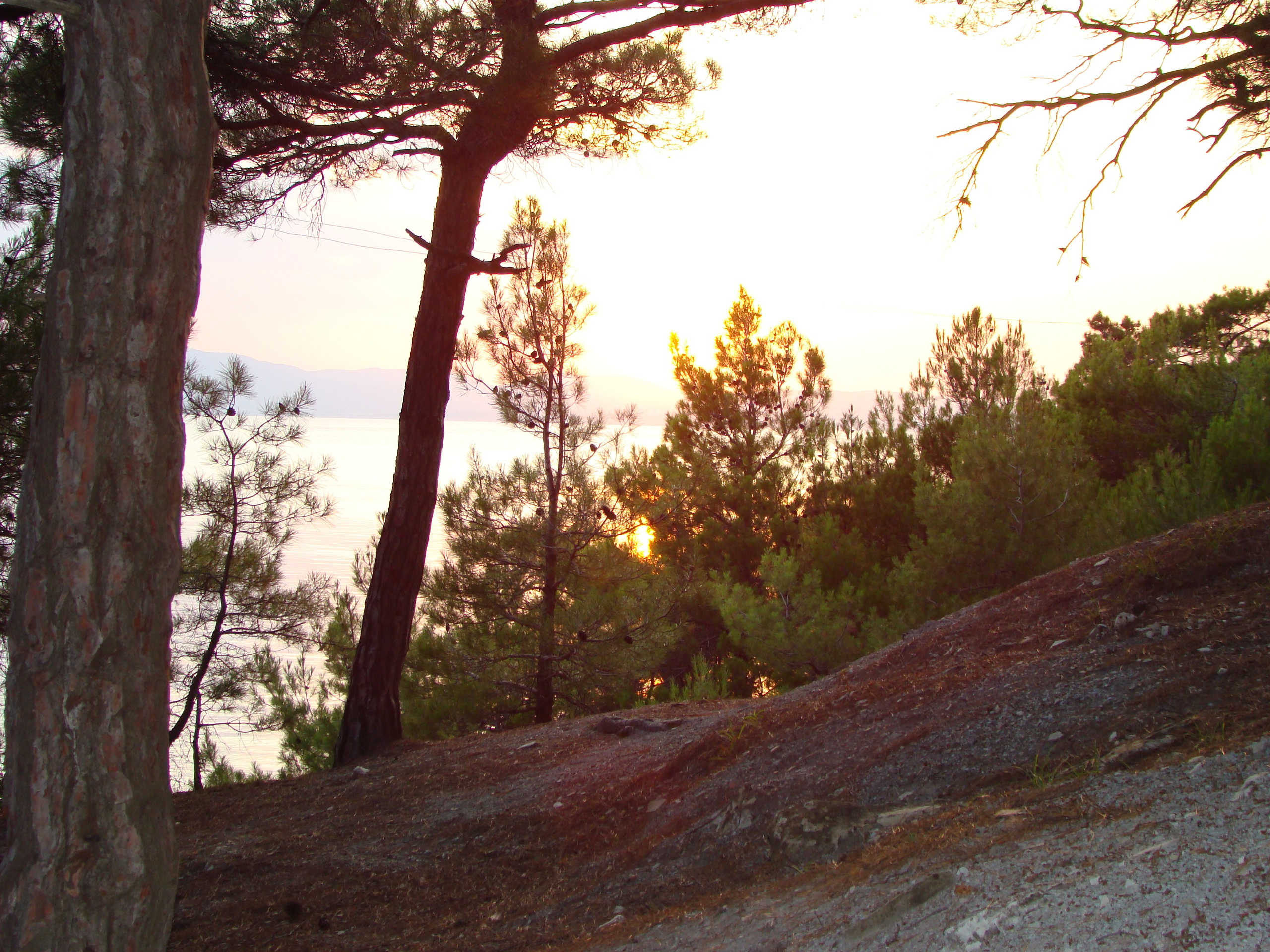 Кабардинка (фото Зевиных) 25.06-24.07.2008. Семейный, Свадебный фотограф СПБ Питер— Романова Екатерина