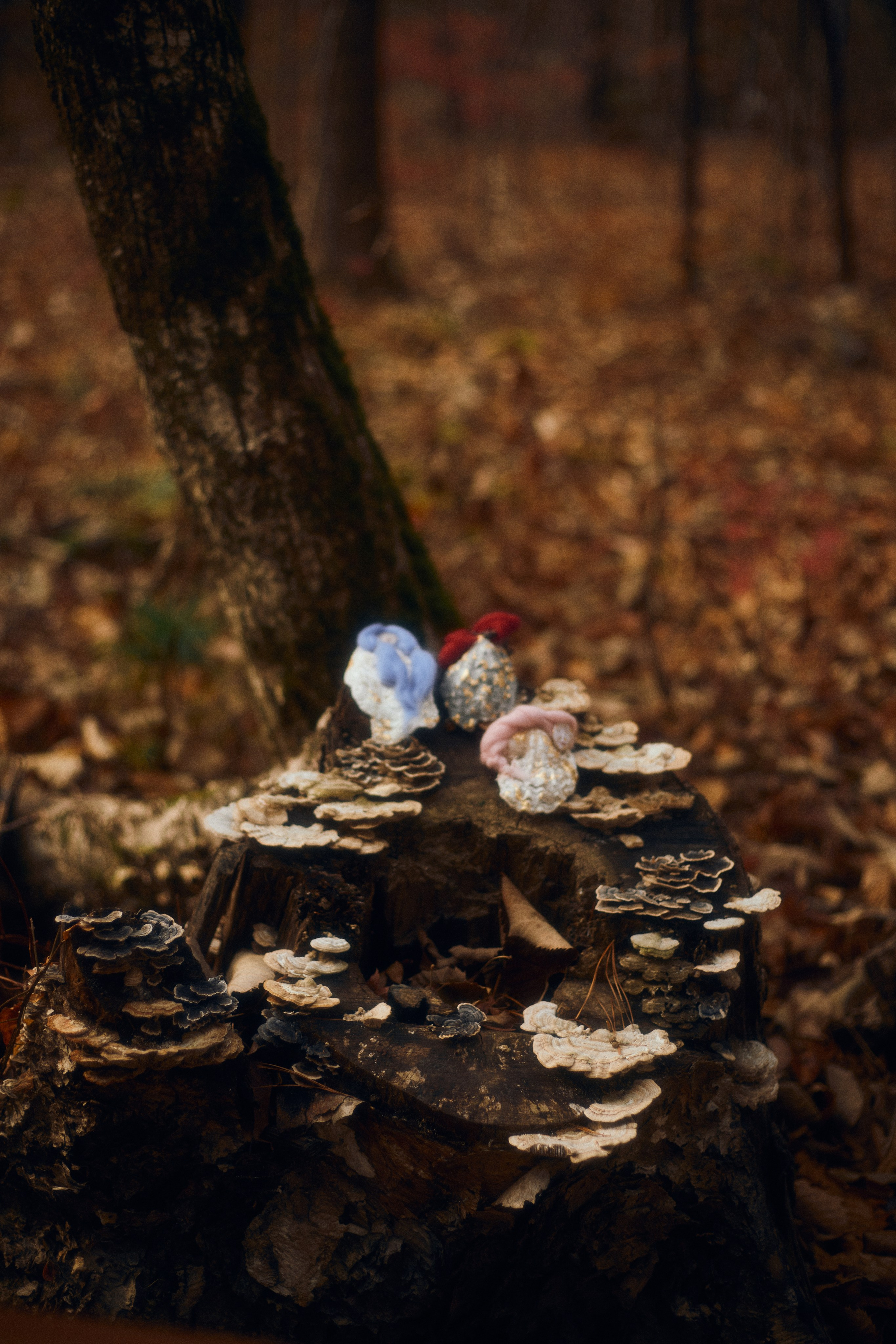 Духи. Фотограф Ионова Анастасия, г Владивосток