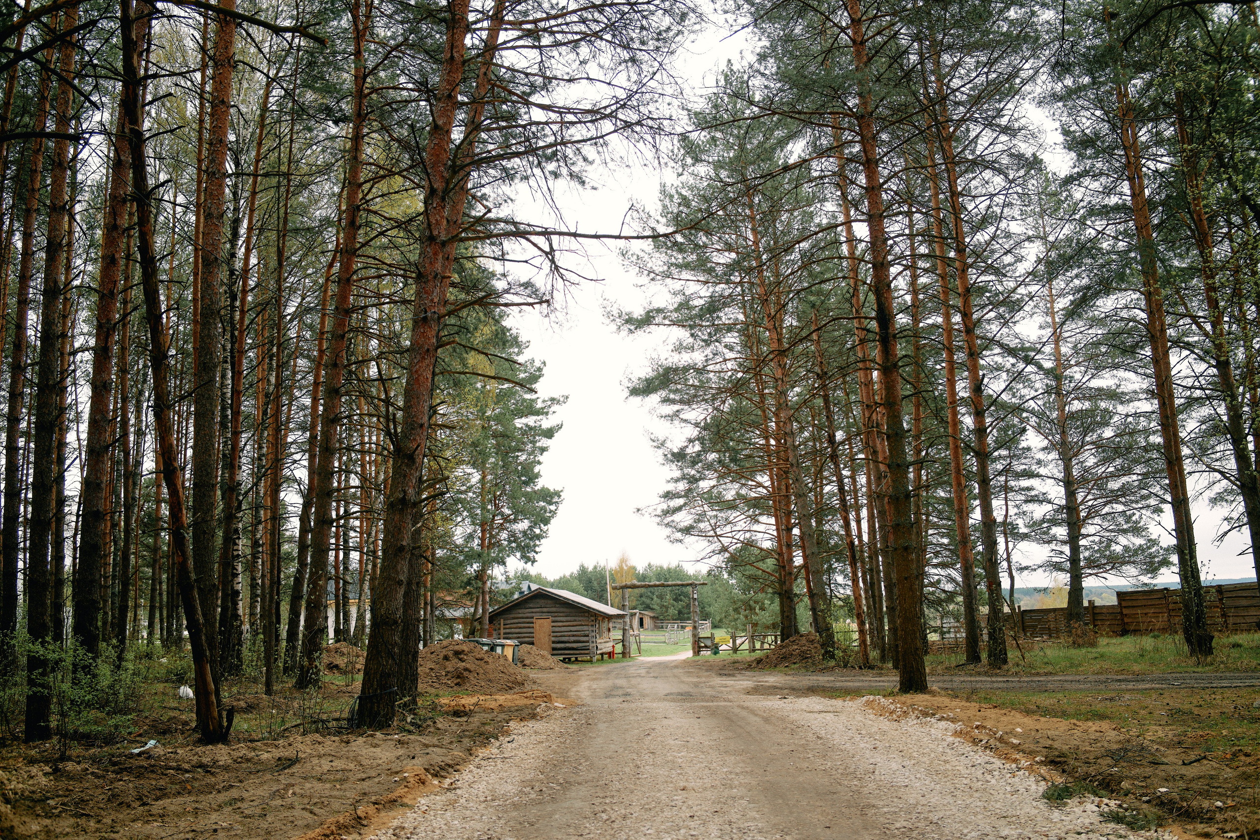 Бутик-отель Поле летом. Профессиональный Фотограф во Владимире, в Москве и в Суздале — Полина Романычева