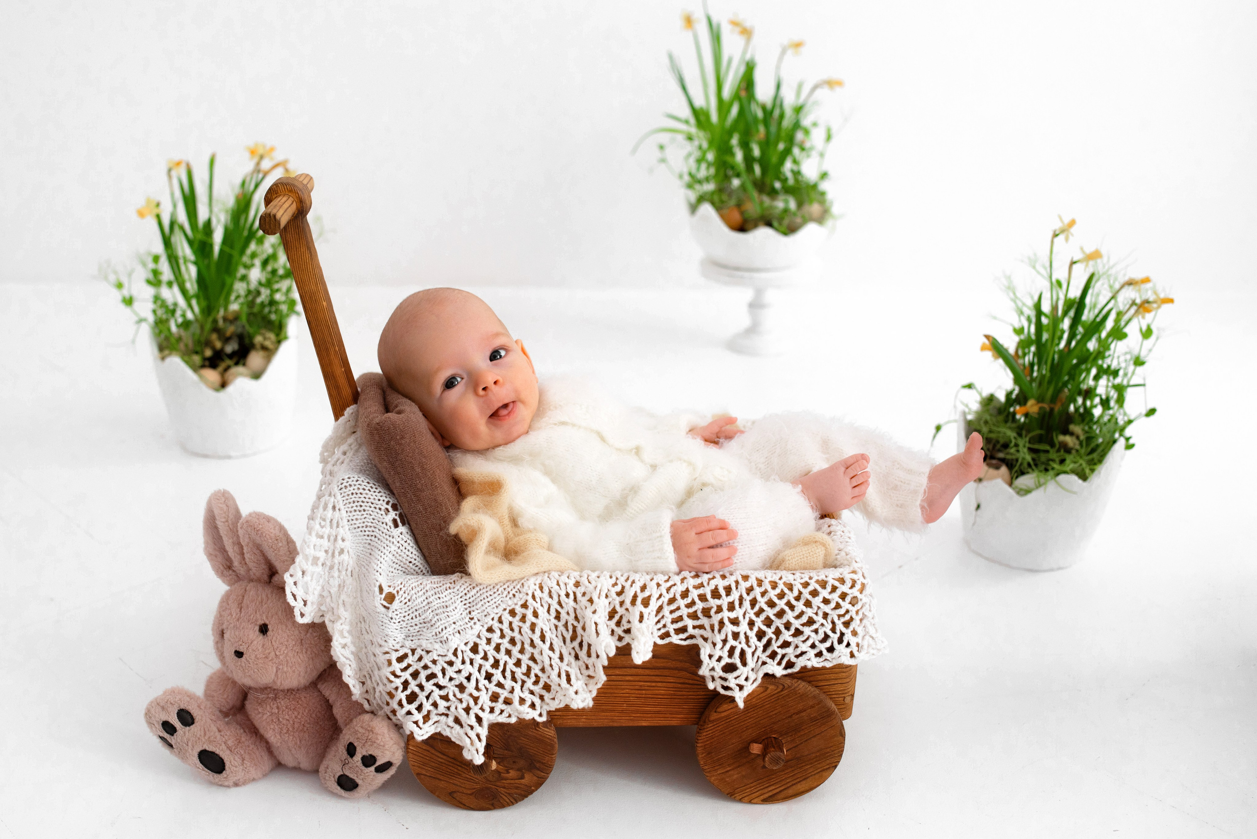 Лев (3 месяца)