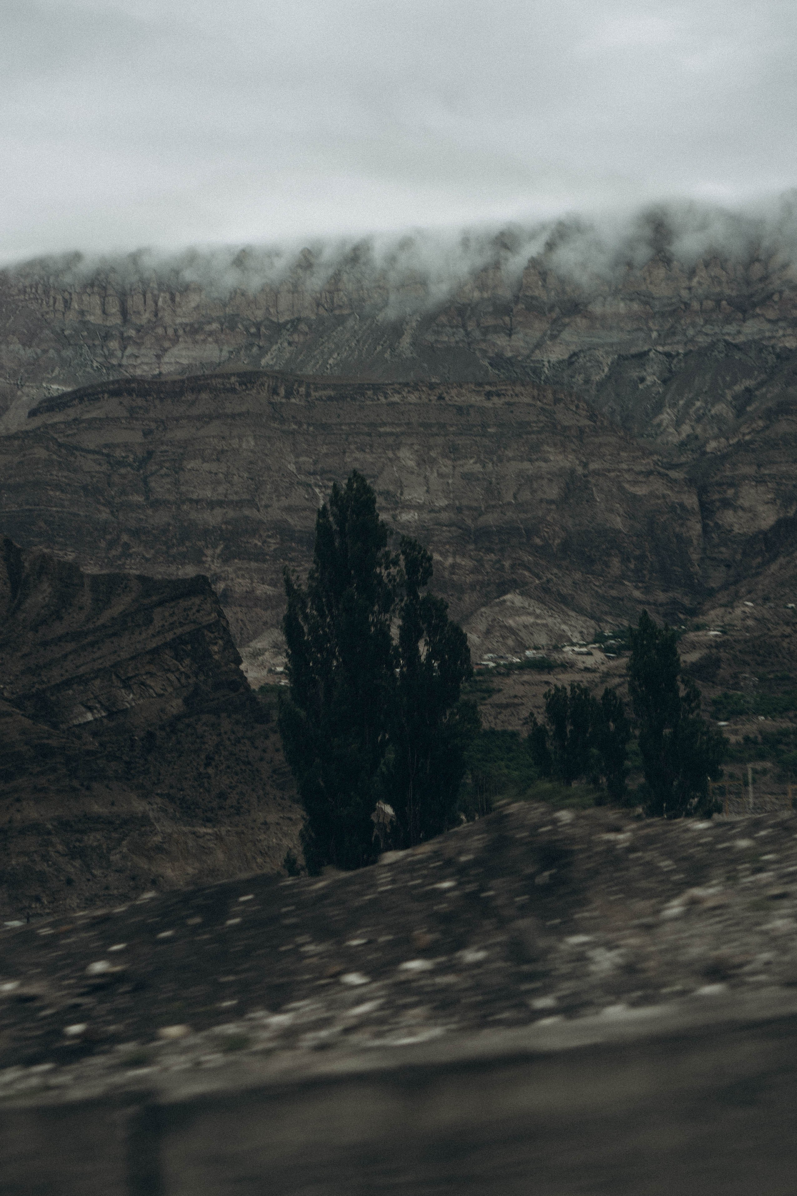 Кавказ. Профессиональный фотограф, Санкт-Петербург — Виктория Богомолова