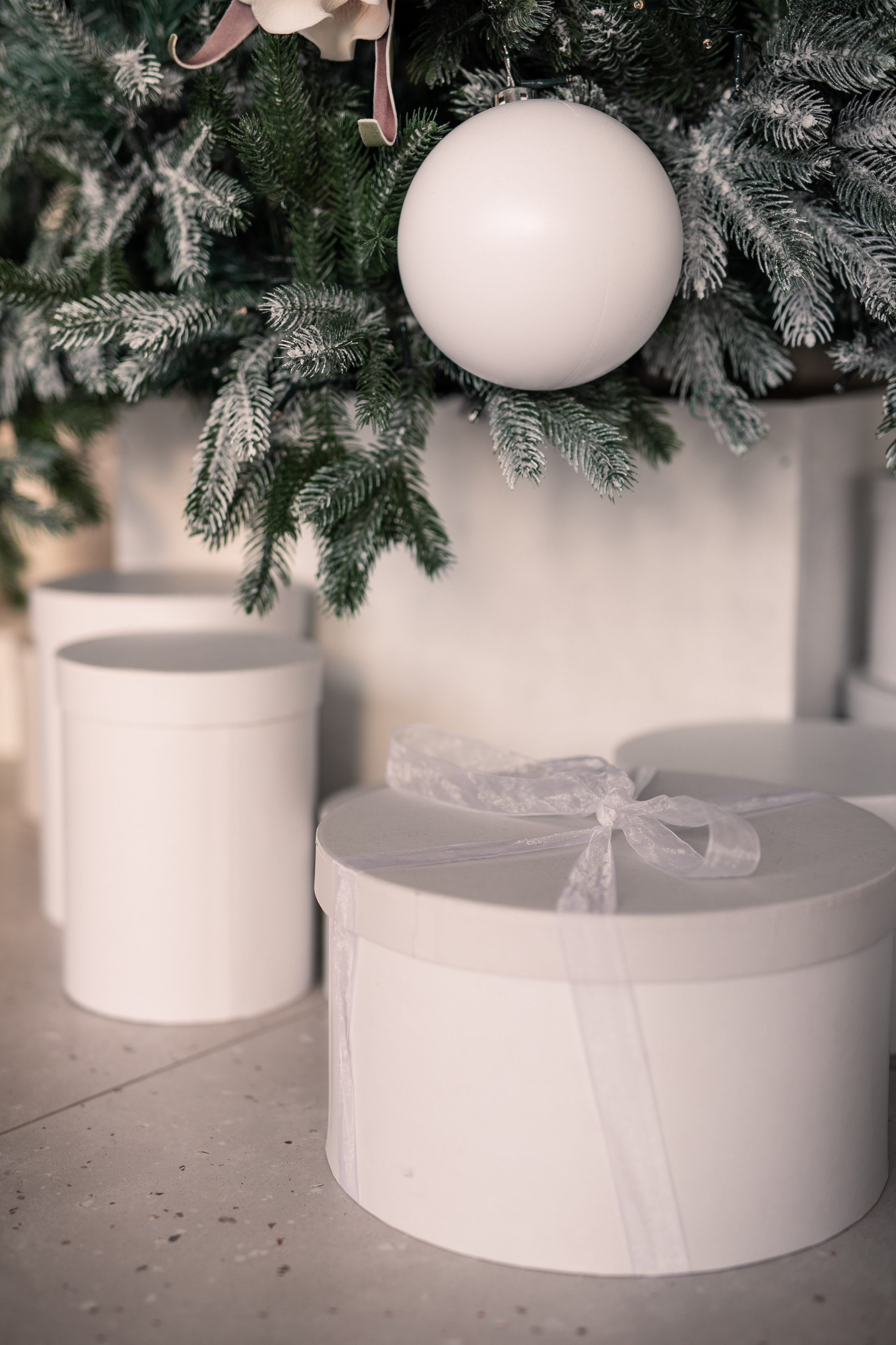 Мария и Павел. Фотограф Анастасия Петрова