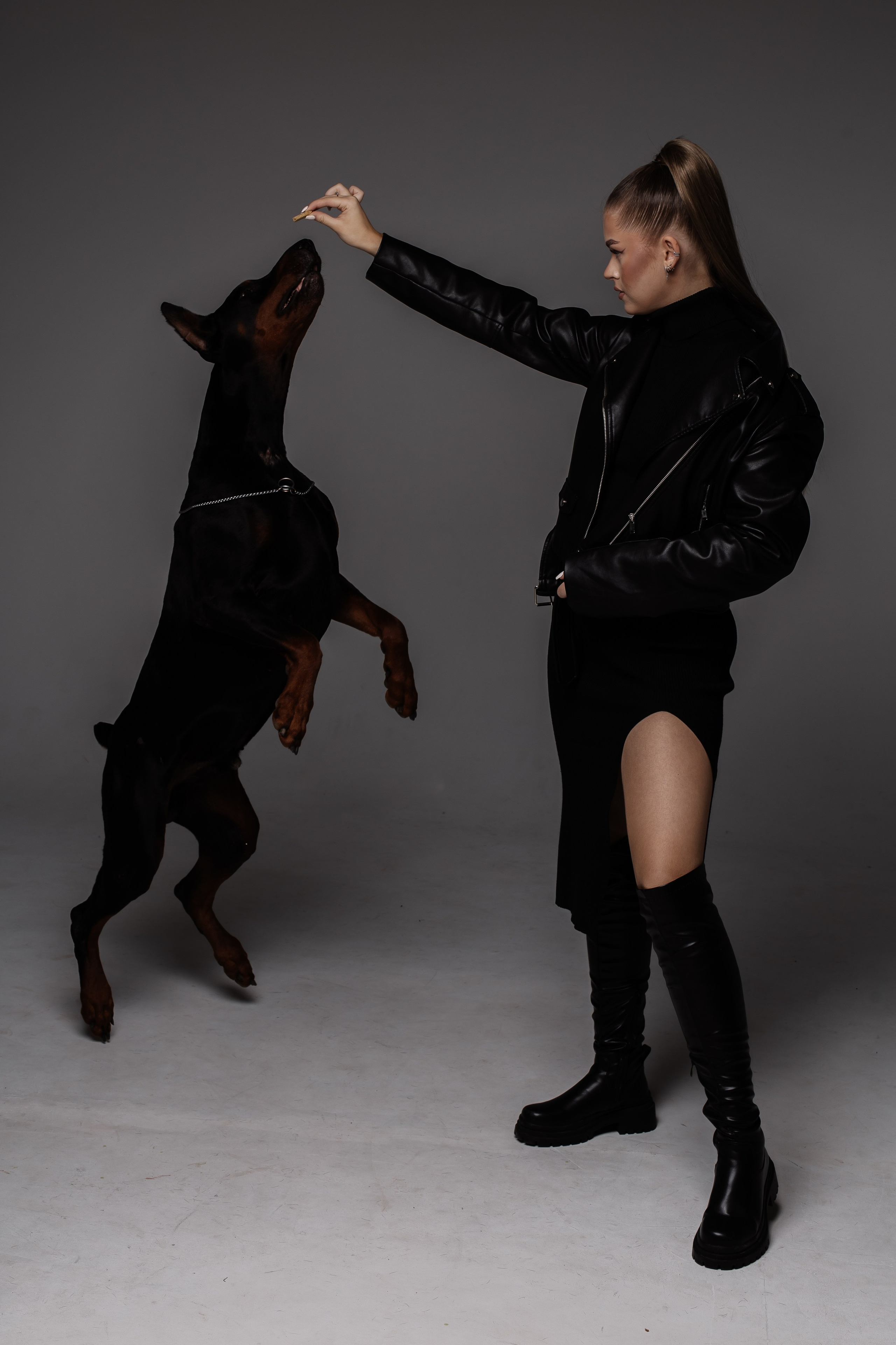 Съемка с доберманами. СВАДЕБНЫЙ ФОТОГРАФ ЧЕЛЯБИНСК