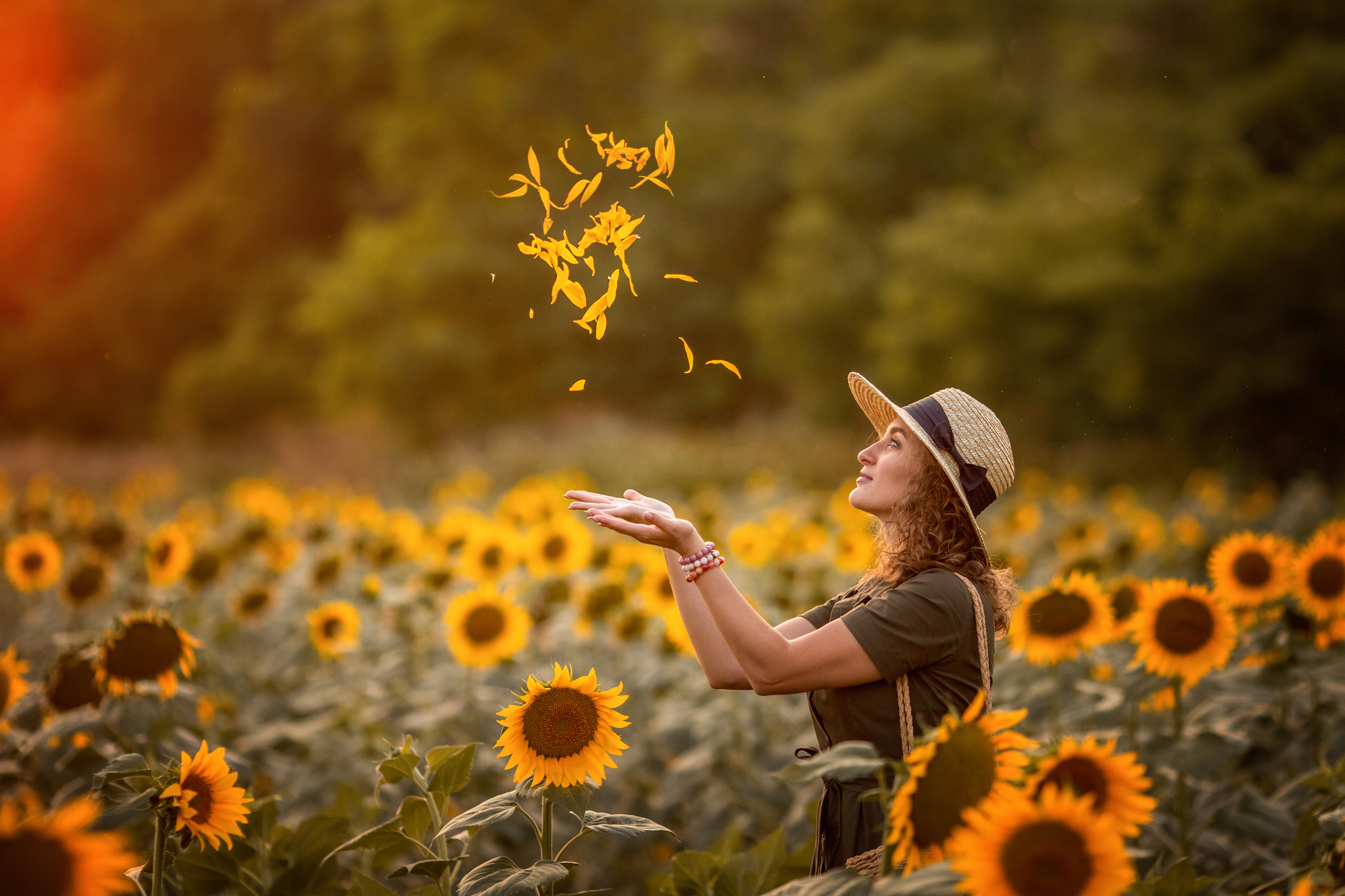Солнечные подсолнухи. Художественный фотограф Анапа Александра Долбикова