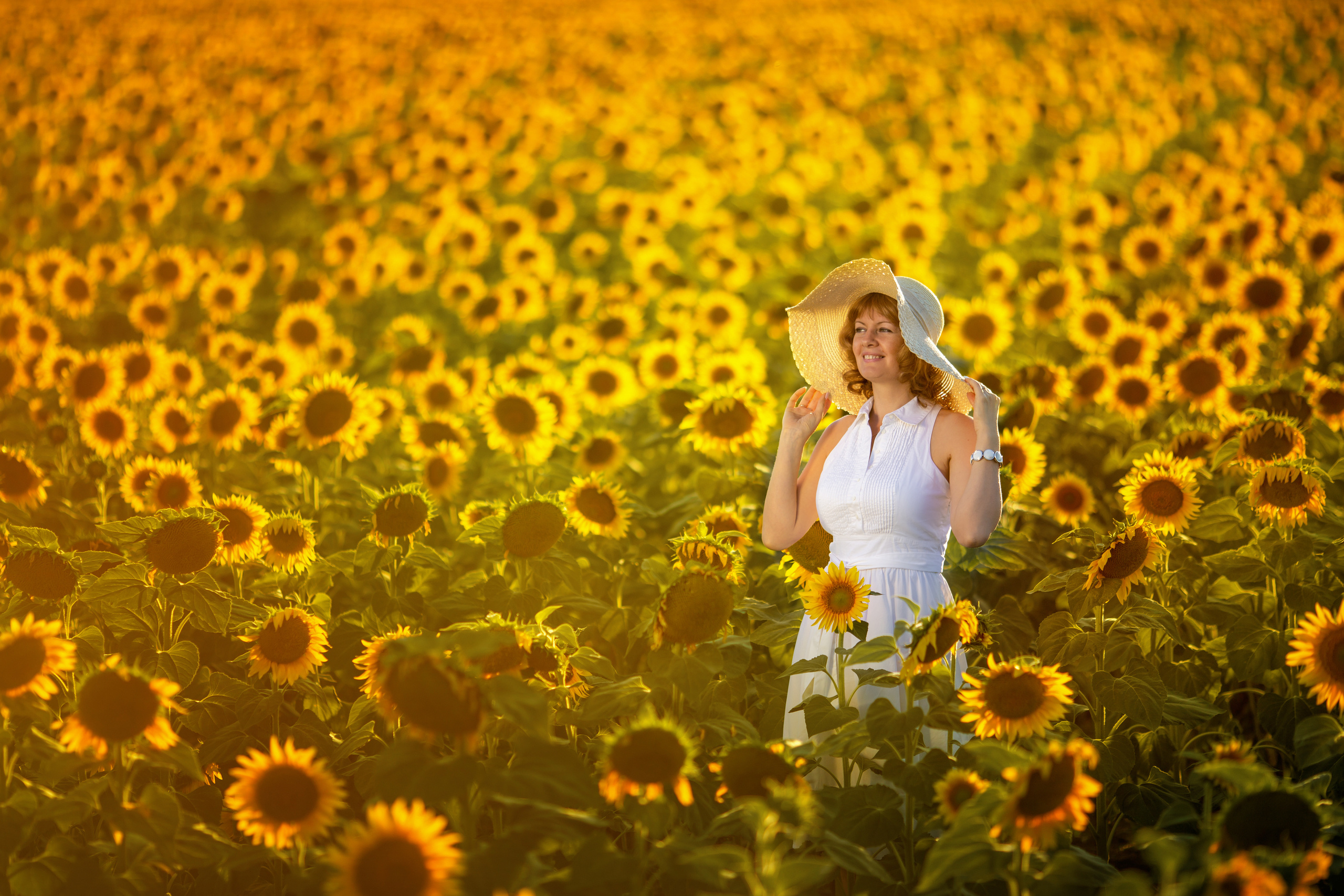 Солнечные подсолнухи. Художественный фотограф Анапа Александра Долбикова