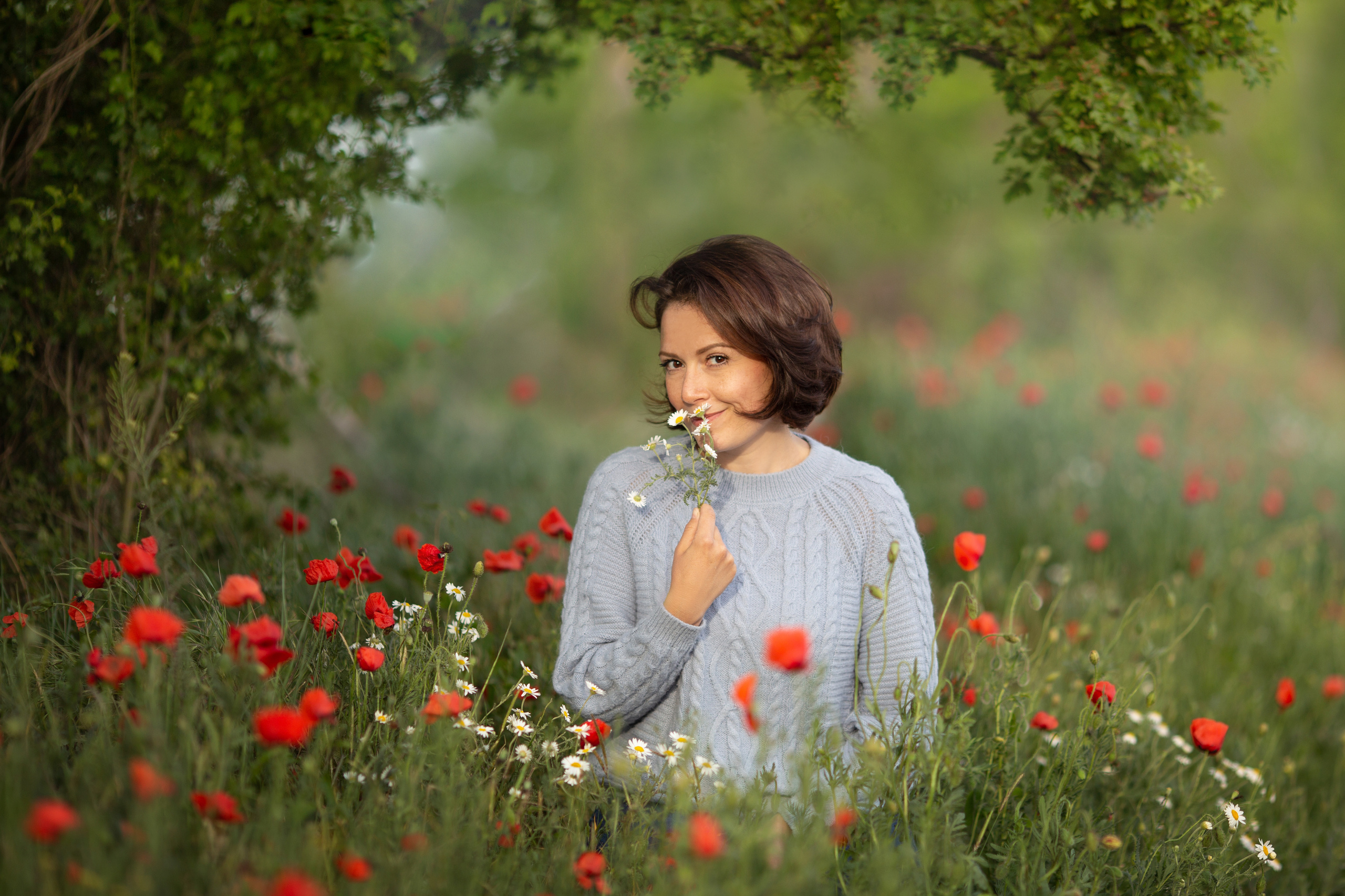 Яркие маки. Художественный фотограф Анапа Александра Долбикова