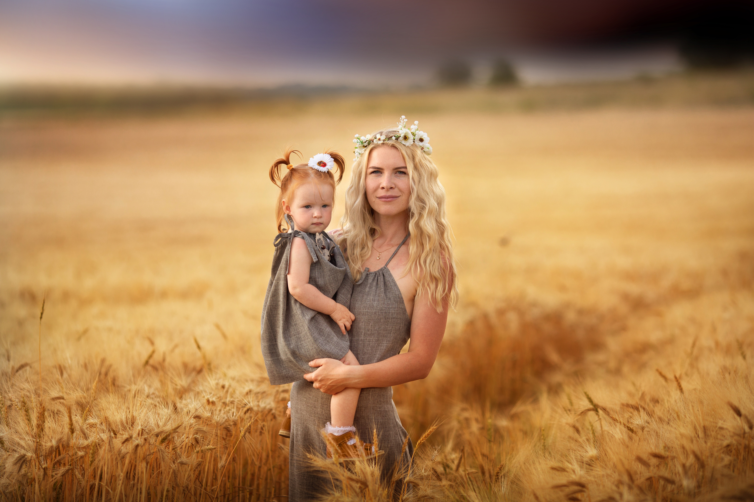 Золотые поля. Художественный фотограф Анапа Александра Долбикова