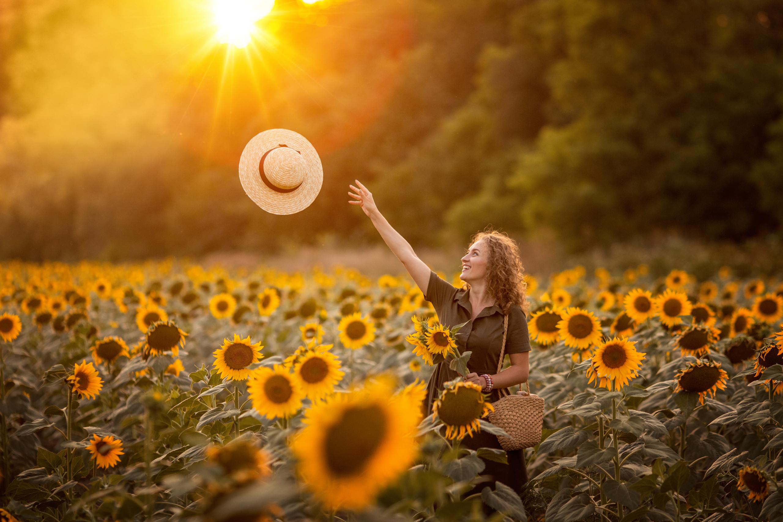 Солнечные подсолнухи. Художественный фотограф Анапа Александра Долбикова