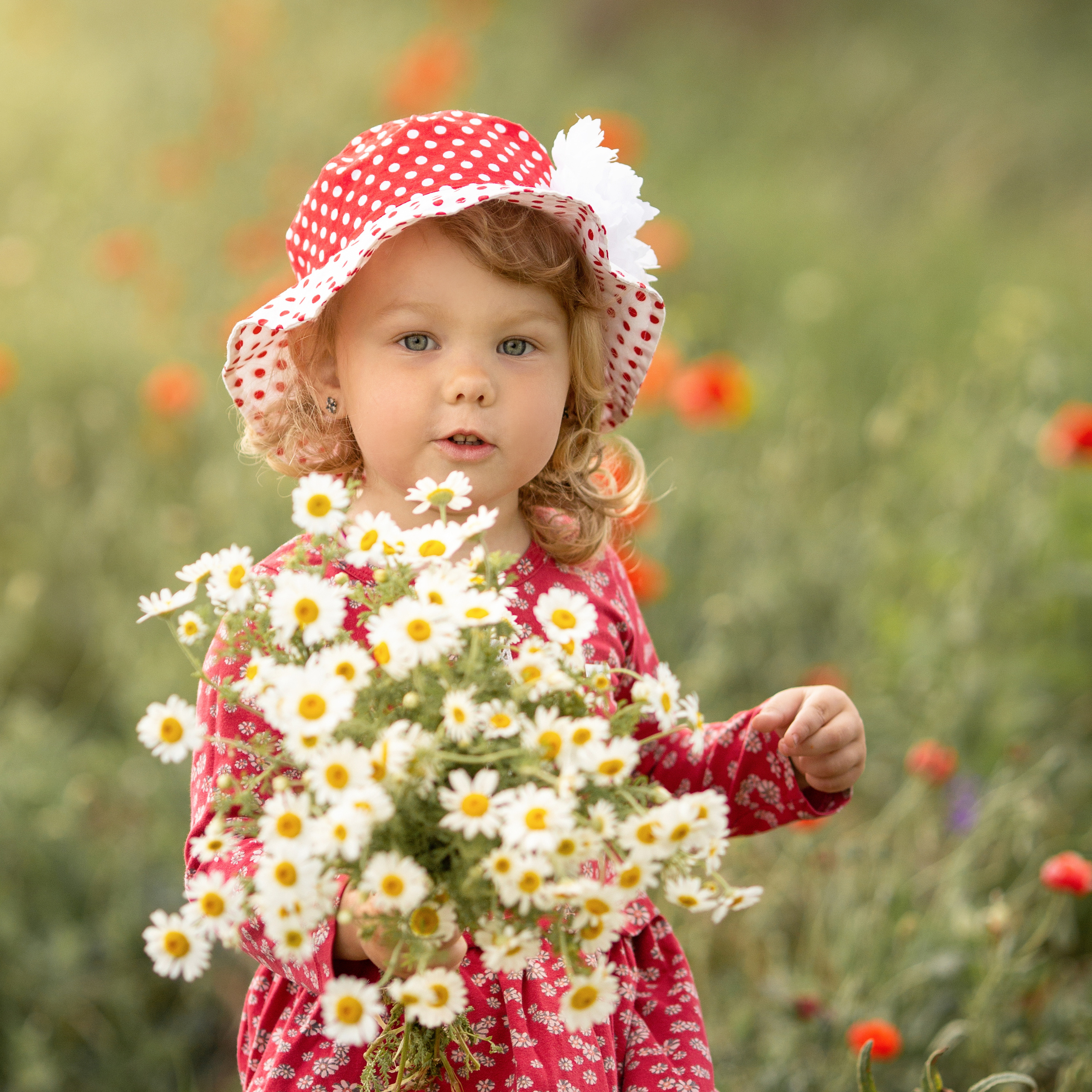 Яркие маки. Художественный фотограф Анапа Александра Долбикова