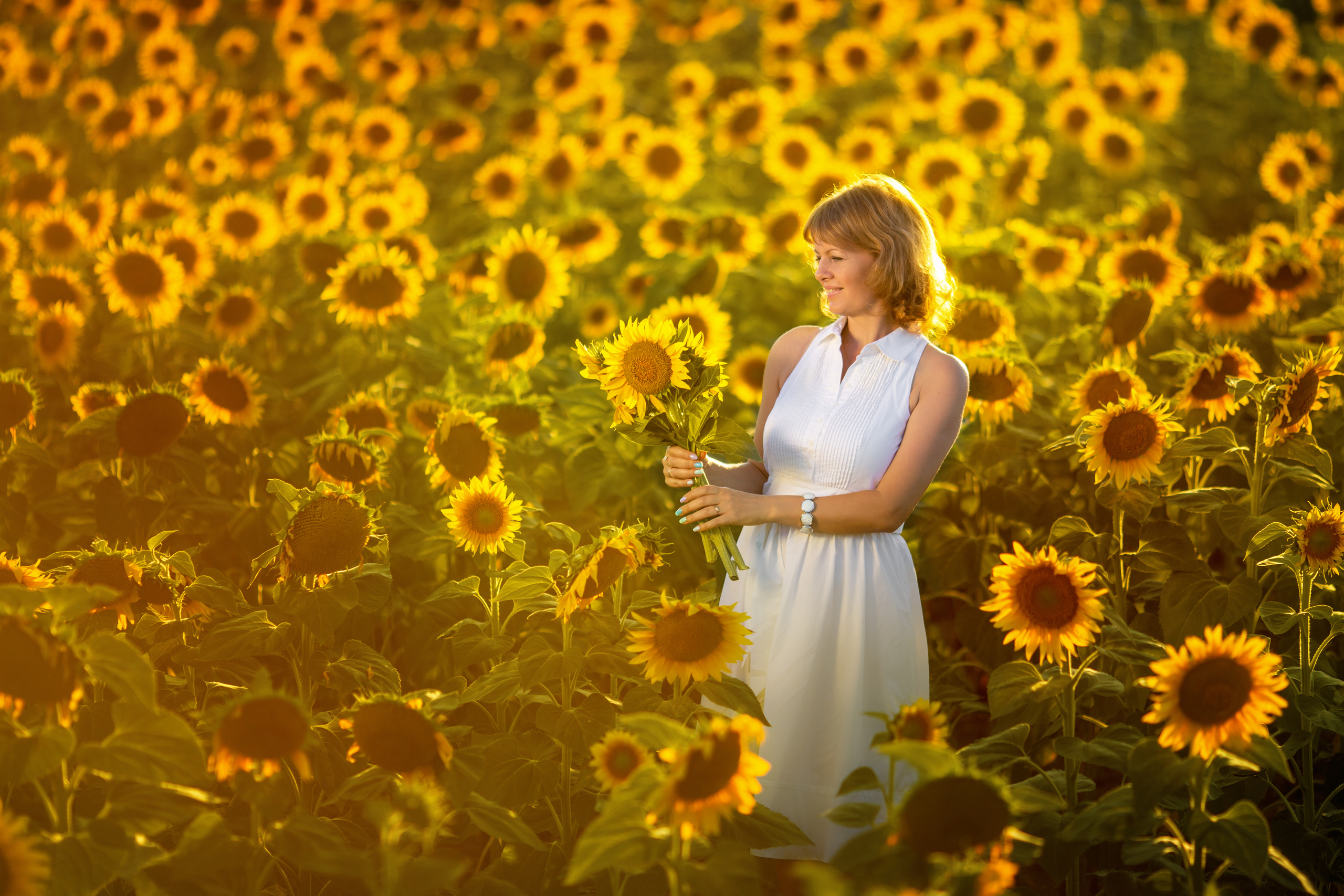 Солнечные подсолнухи. Художественный фотограф Анапа Александра Долбикова