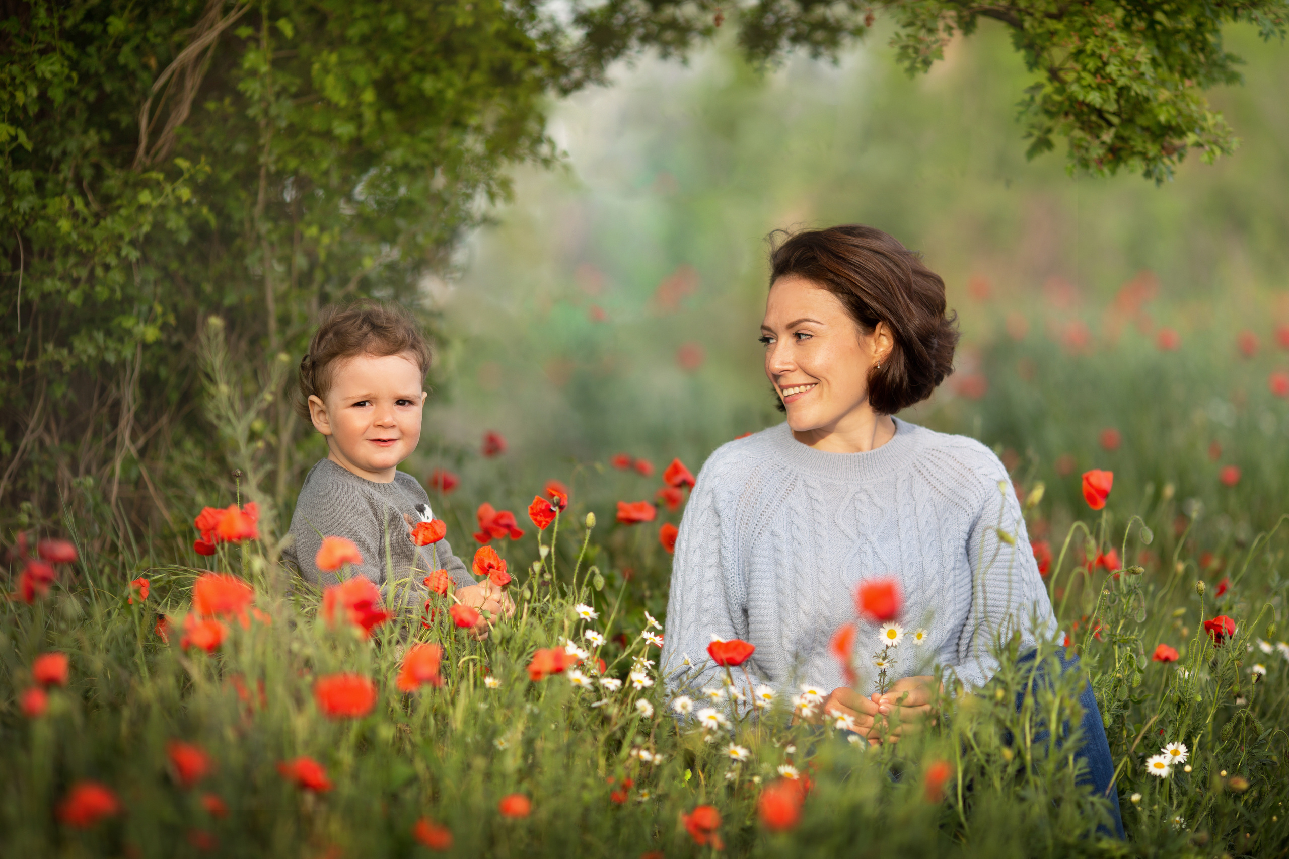 Яркие маки. Художественный фотограф Анапа Александра Долбикова