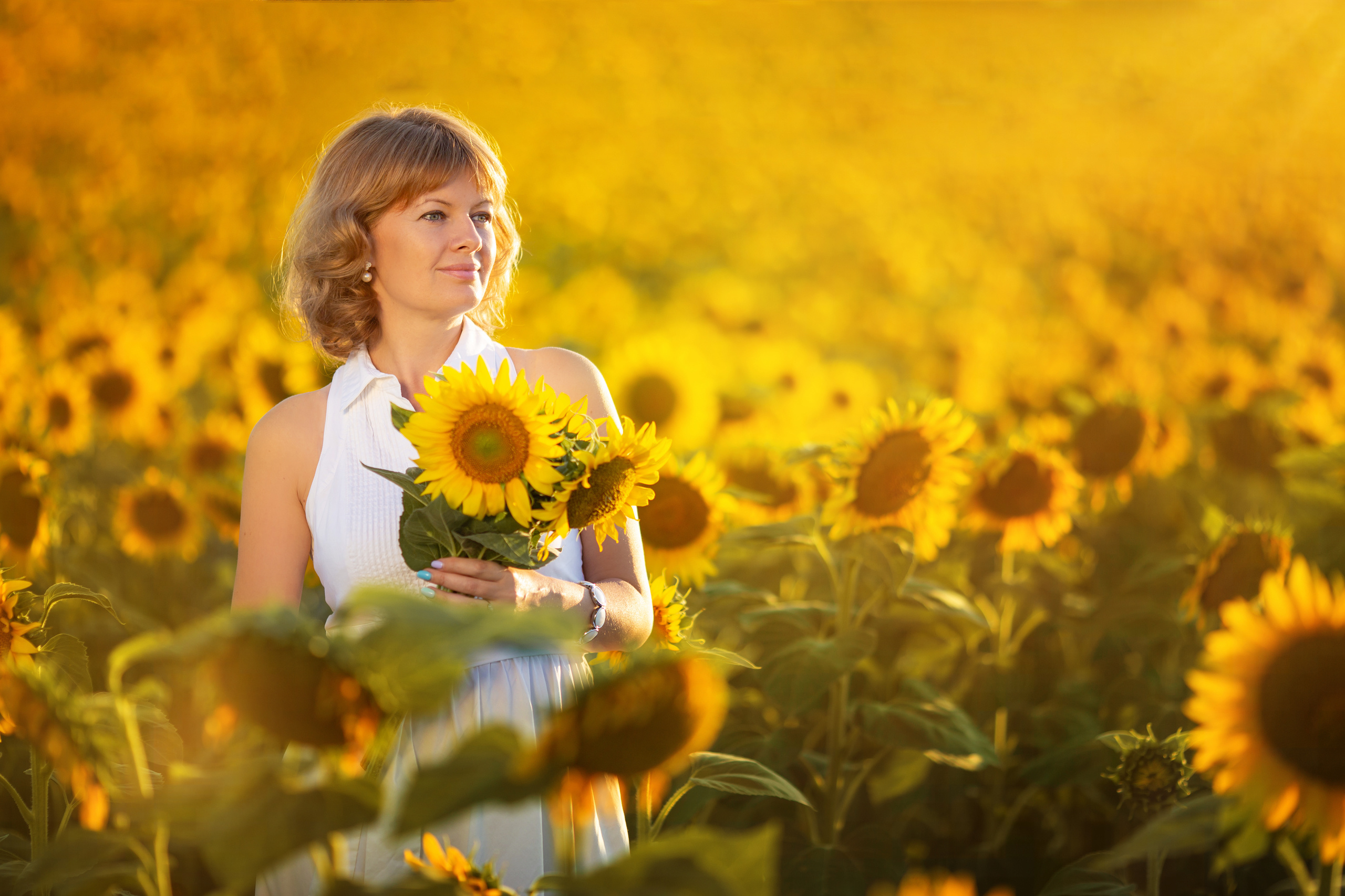 Солнечные подсолнухи. Художественный фотограф Анапа Александра Долбикова