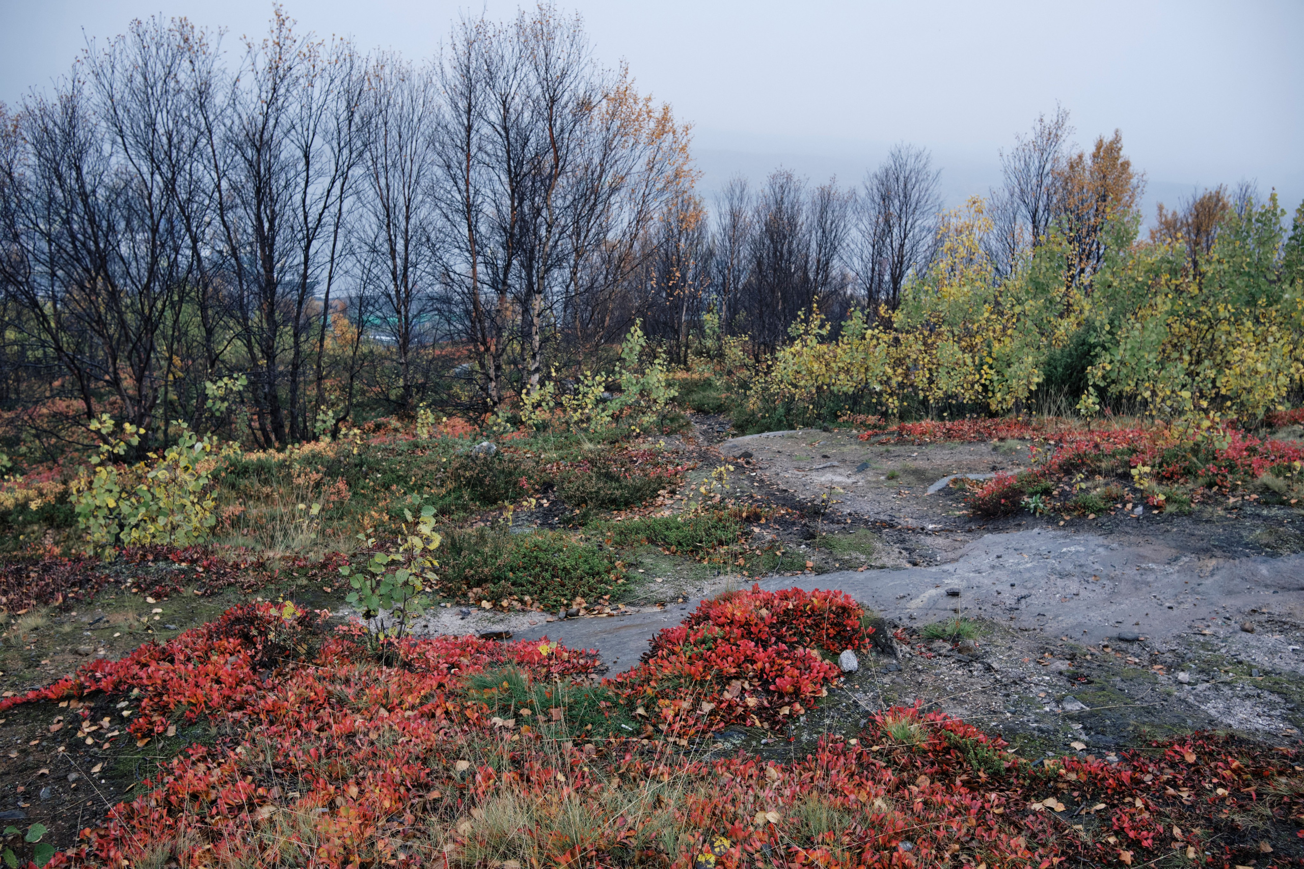 Поездка в Мурманск. Заметки и фото. Елена Павленко. Фотограф. Москва
