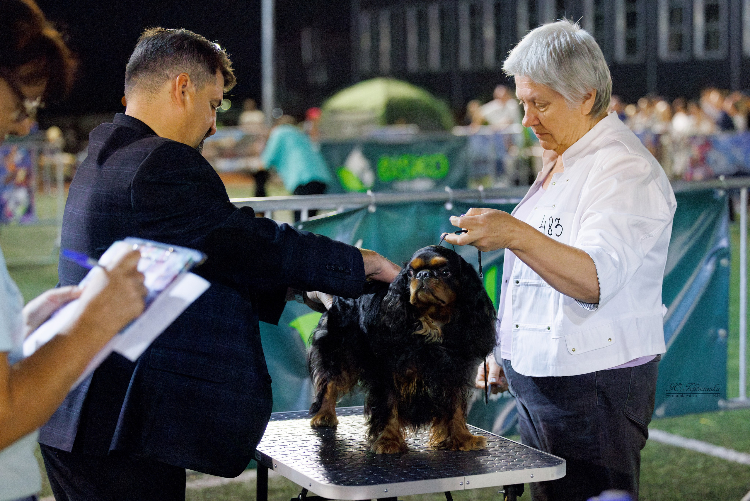 Волгоград 2-4.08.2024. Фотограф-анималист Юлия Германика