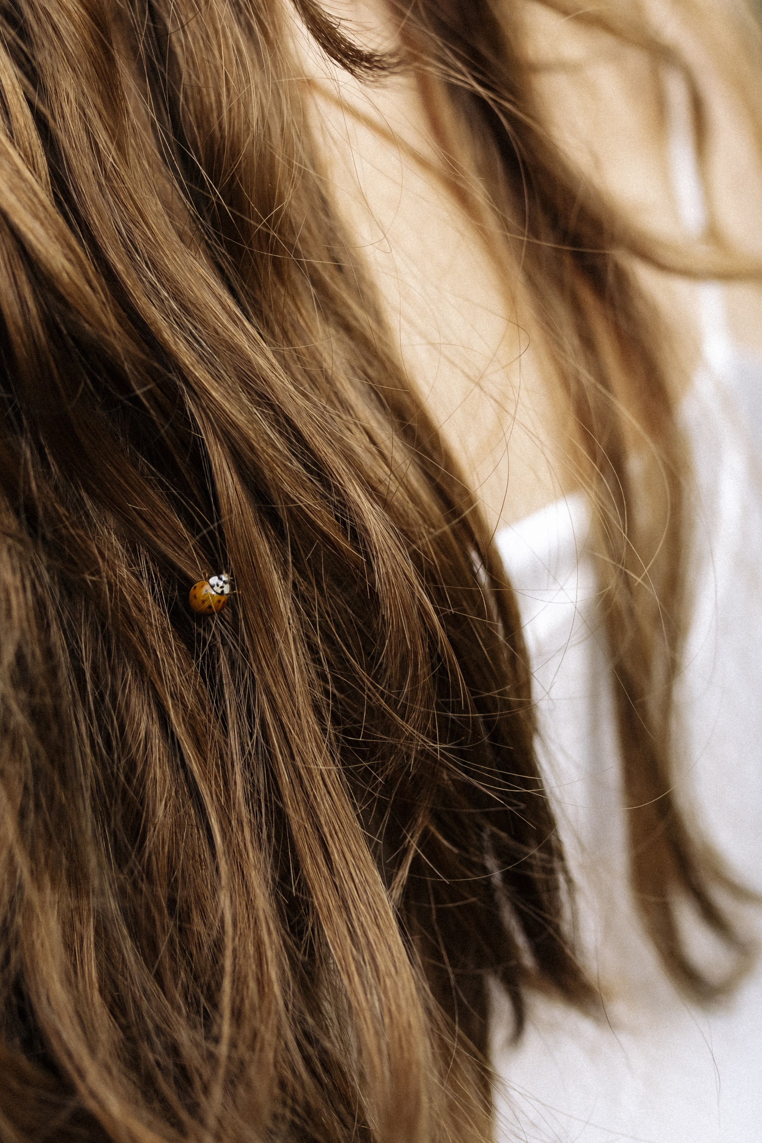 «В ожидании свадьбы». Фотограф Анастасия Бачурина Москва/ Спб