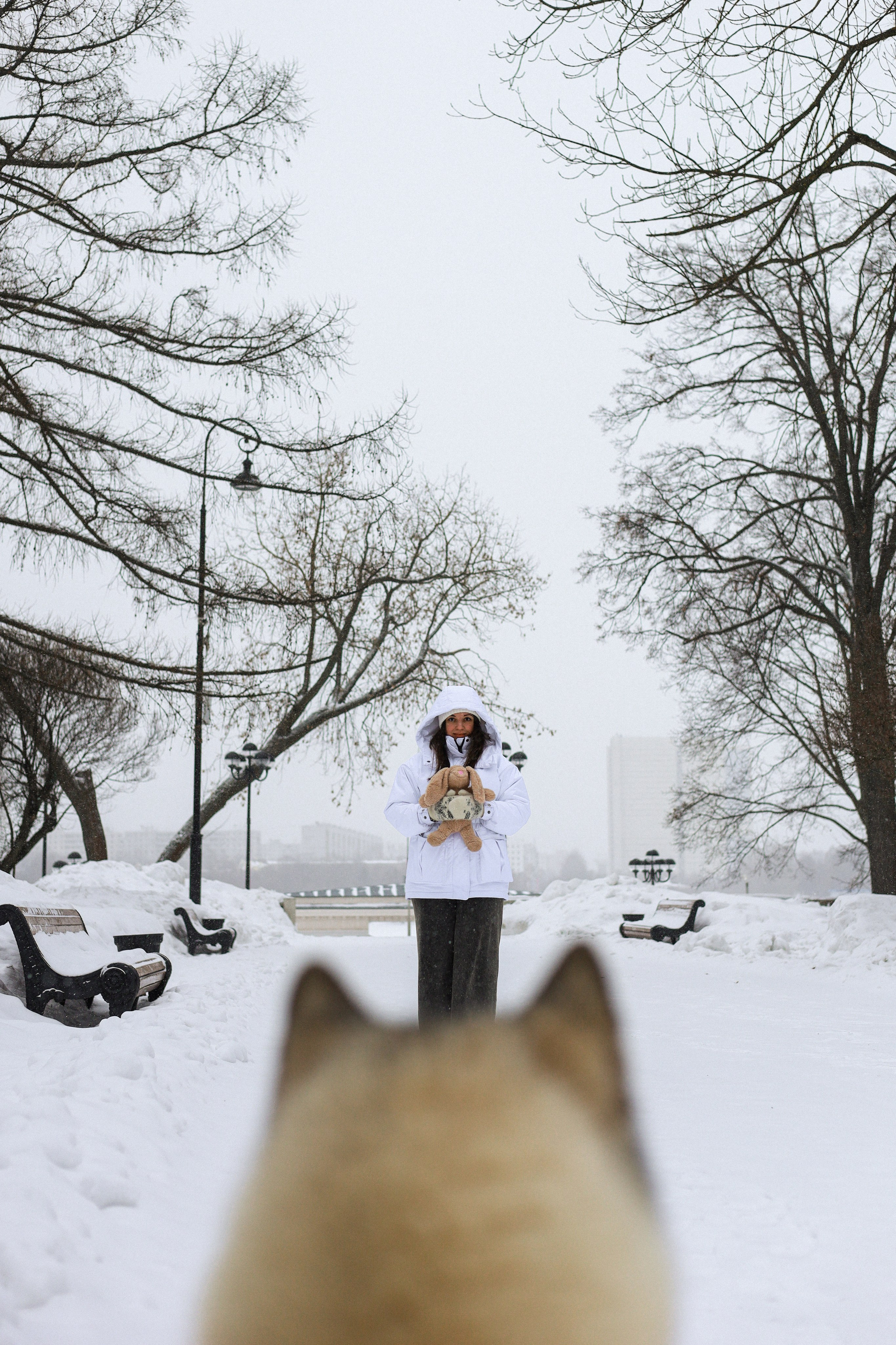 Мила, Лиза и Матвей. Фотограф-анималист Ксения Шевцова|Москва