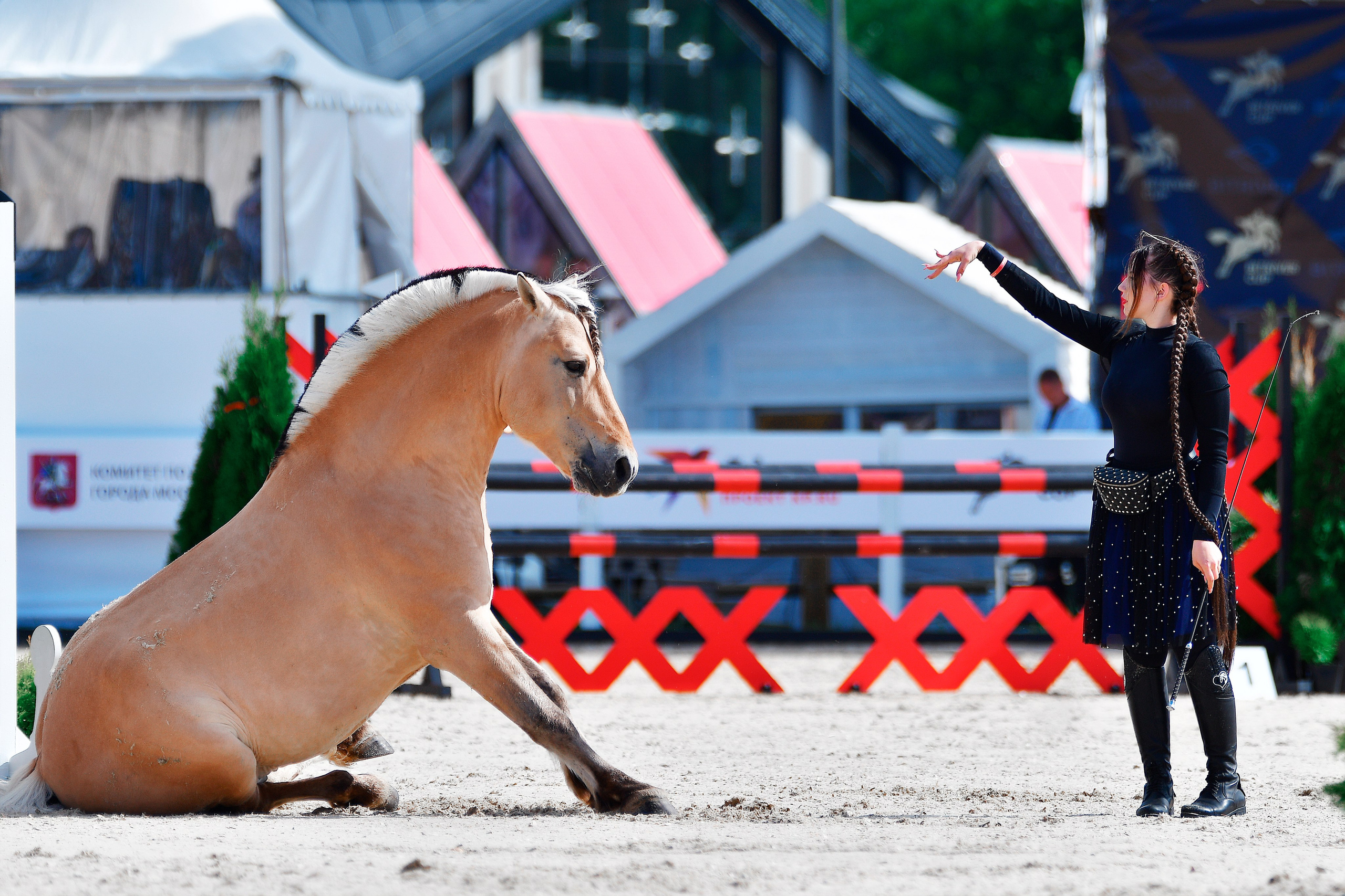 Репортаж Bitriver. Конный фотограф Alesya Safe