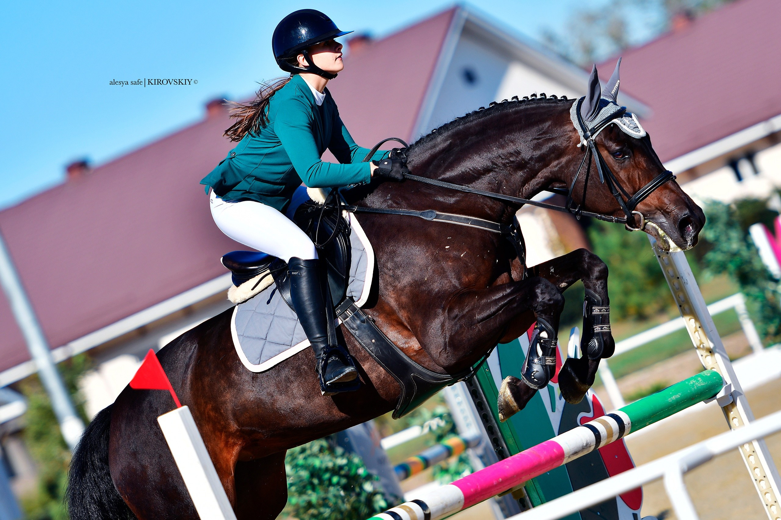 Кировский конный завод. Конный фотограф Alesya Safe
