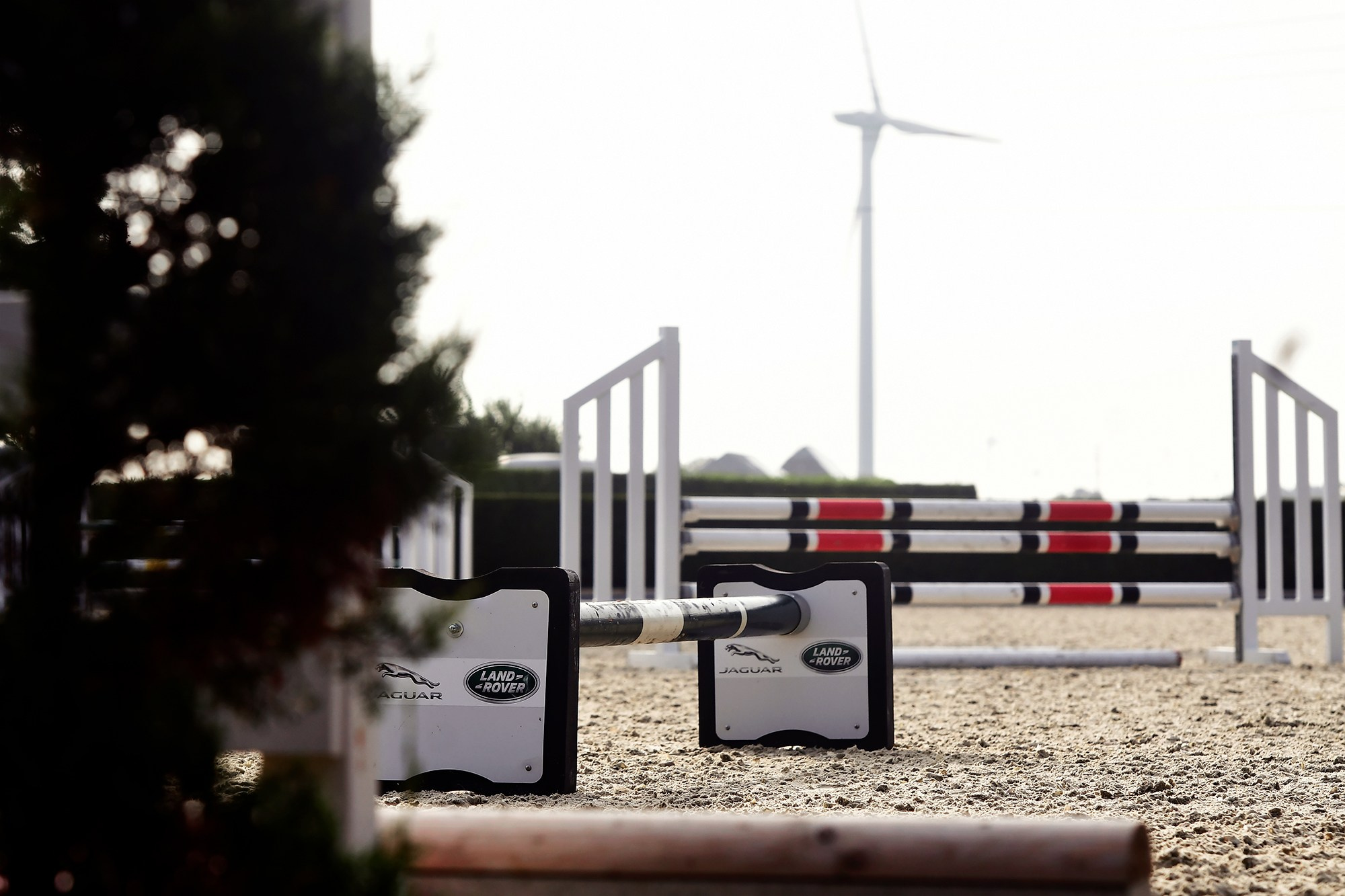 ЕС. Конный фотограф Alesya Safe