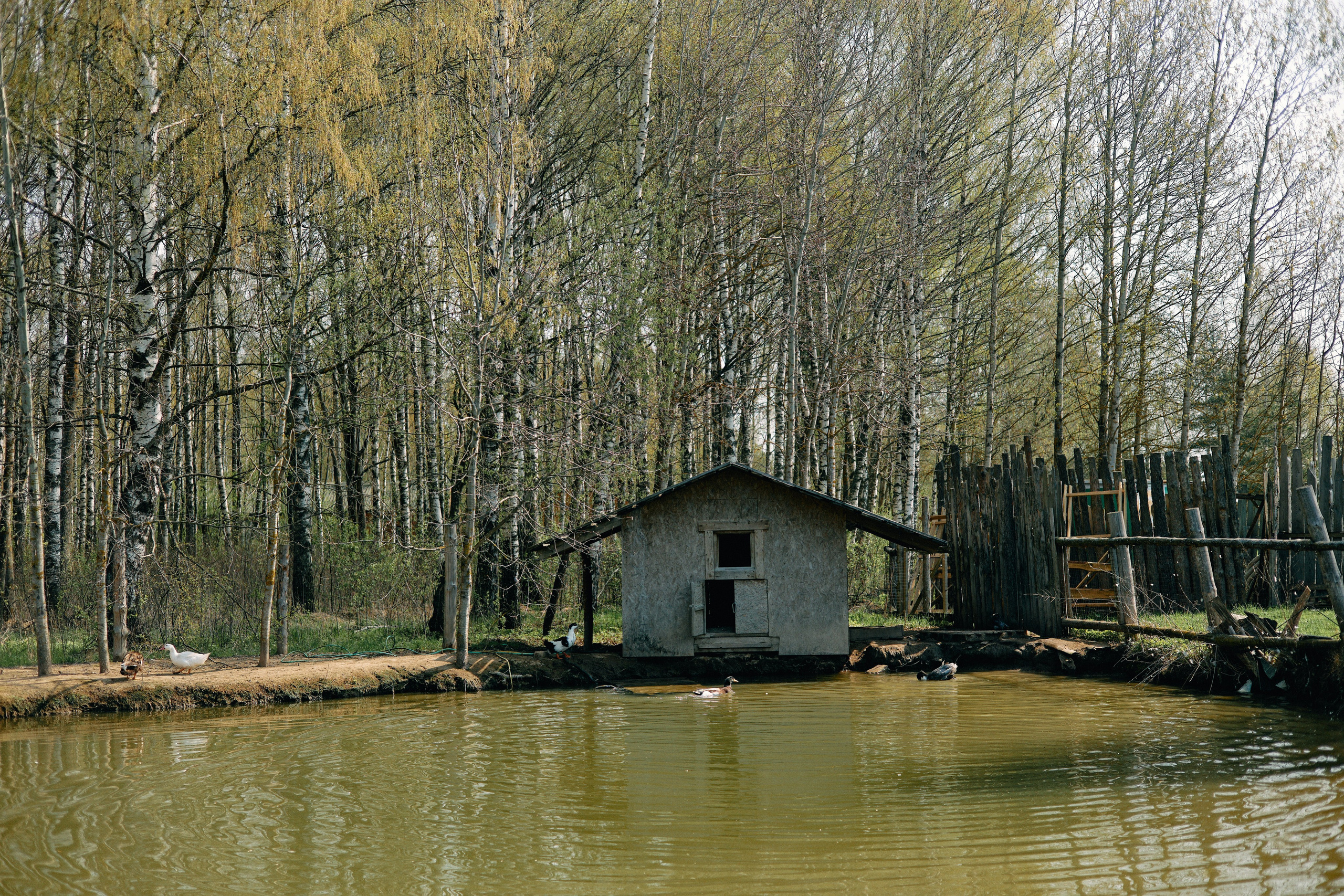 Бутик-отель Поле летом. Профессиональный Фотограф во Владимире, в Москве и в Суздале — Полина Романычева