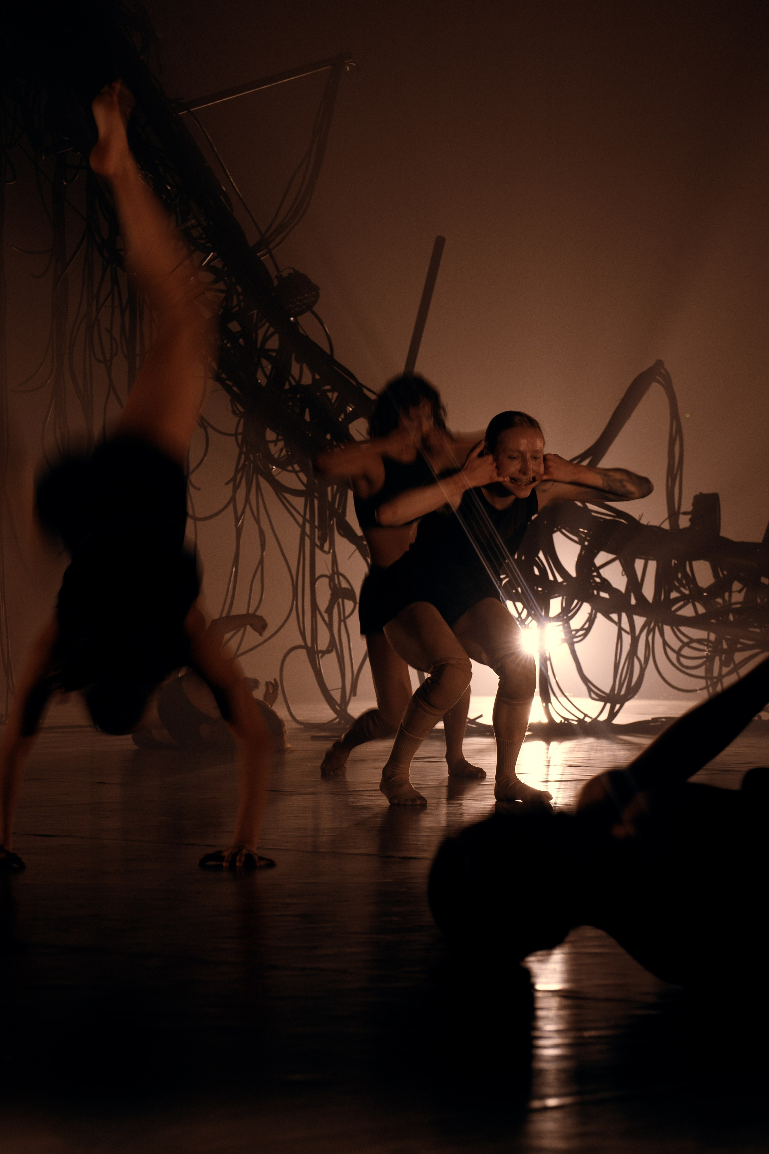 PERFORMA, The Hour of the Horse. @tomrus: Рустам Шагиморданов — фотограф