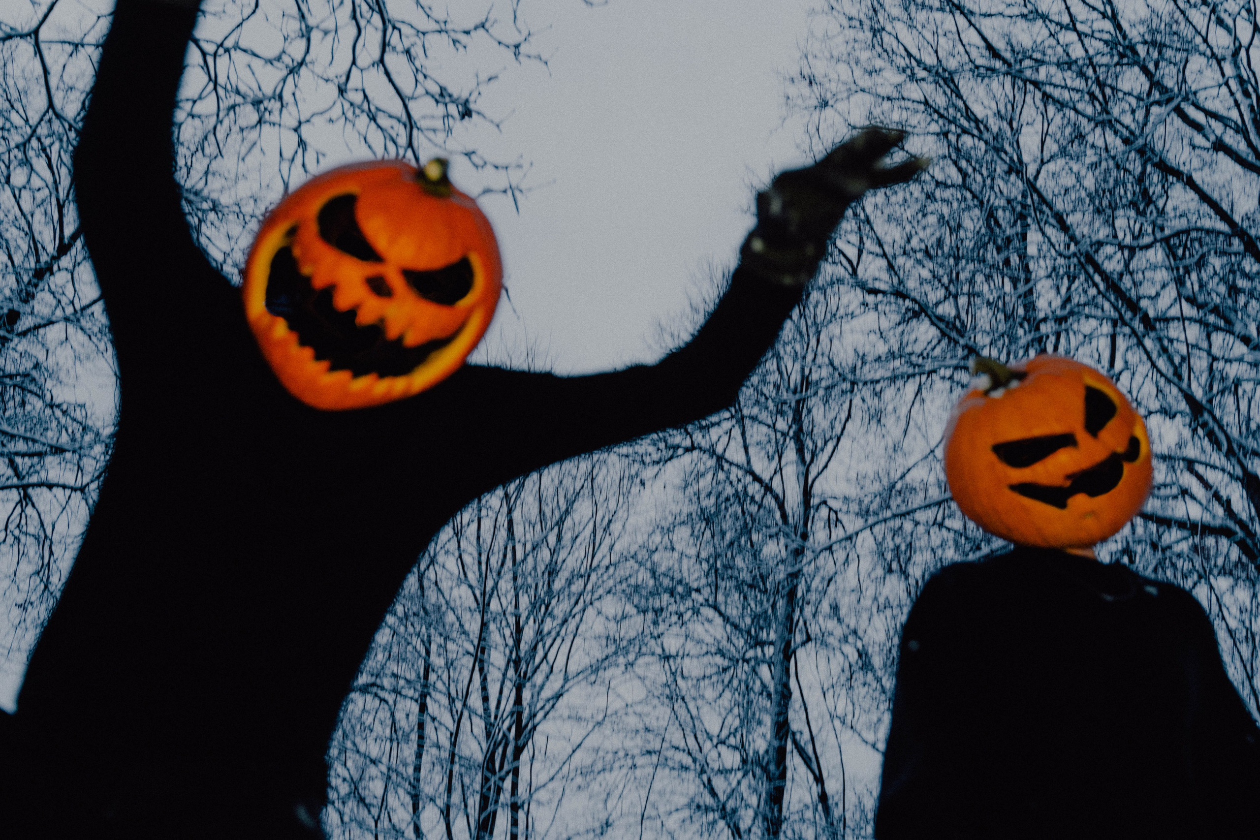 Pumpkin spice. Портретный фотограф в Москве Эмиль Халиков