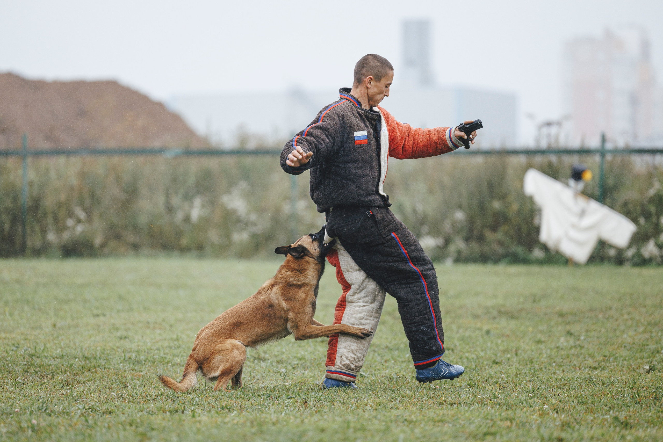 08.08.25-10.08.25 ЧР по мондьорингу г. Вологда. Фотограф-анималист Анна Маринич