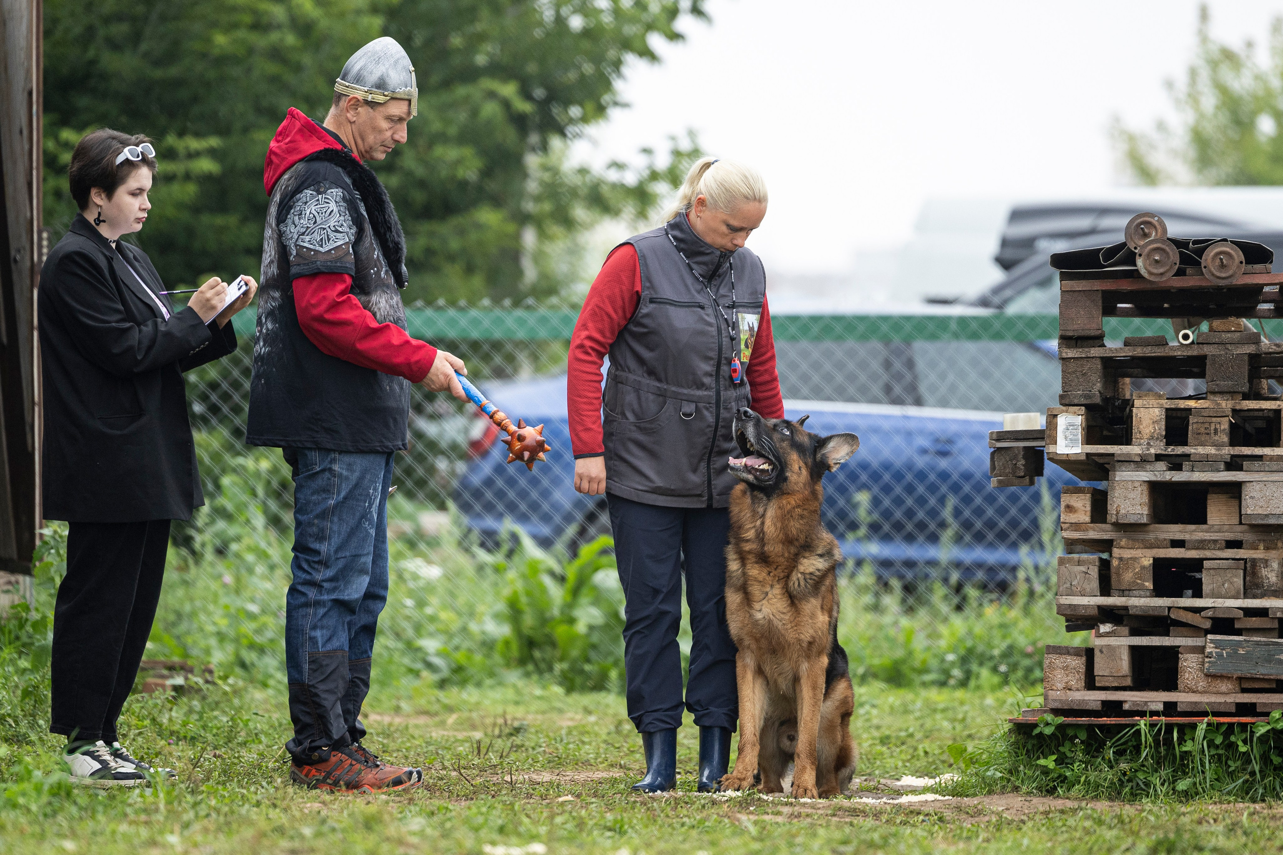 Соревнования по Мондьорингу г. Вологда 10-11.08.2024. Фотограф-анималист Анна Маринич